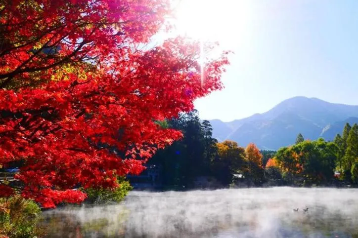 ETAVIA Yufuin Kinrinko