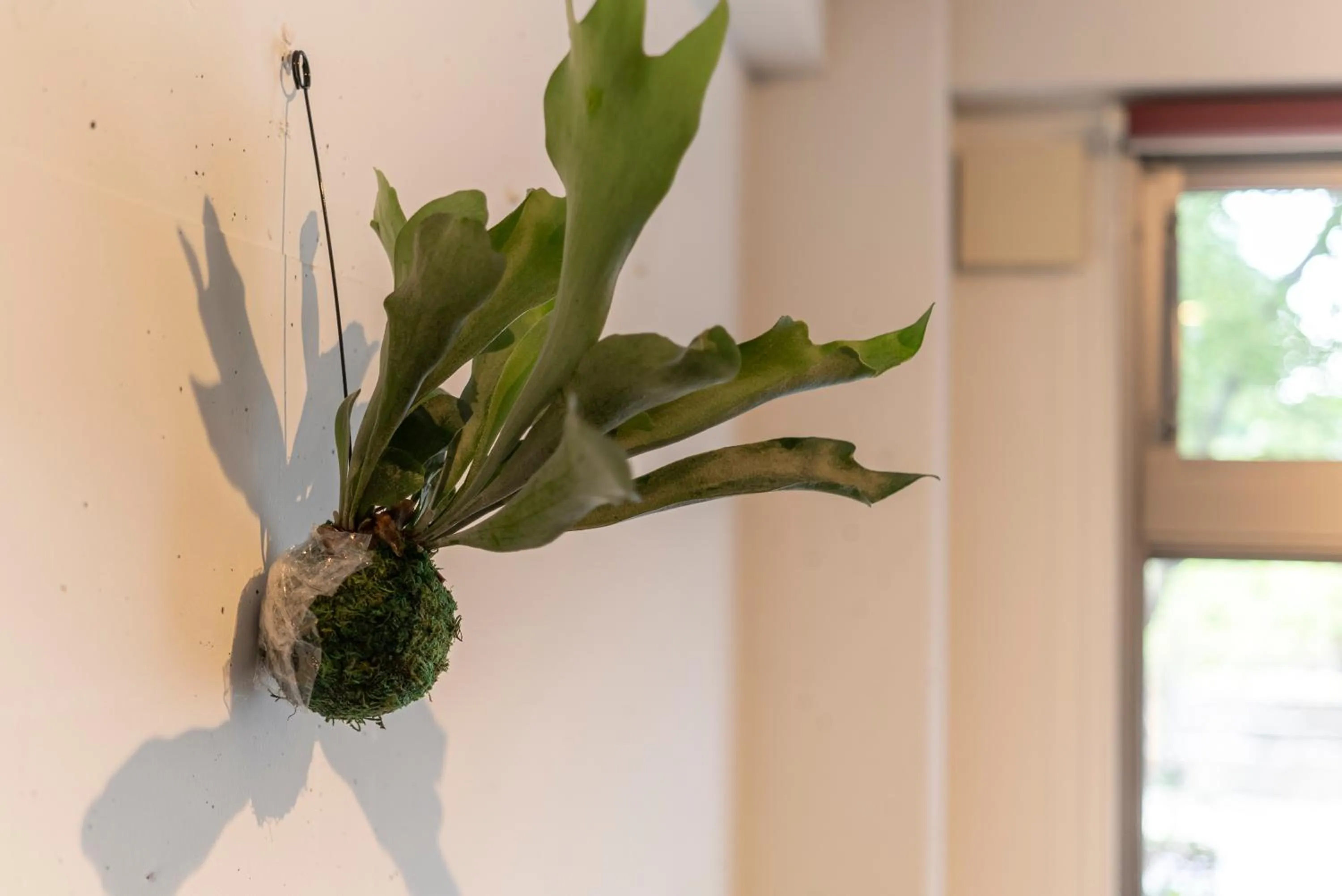 Lobby or reception in ETAVIA Yufuin Kinrinko