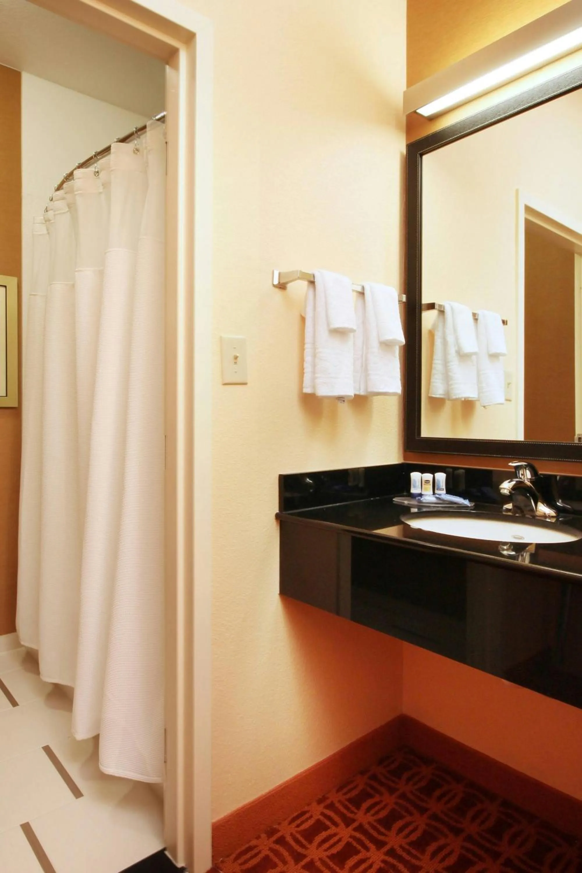 Bathroom in Fairfield Inn by Marriott Las Colinas