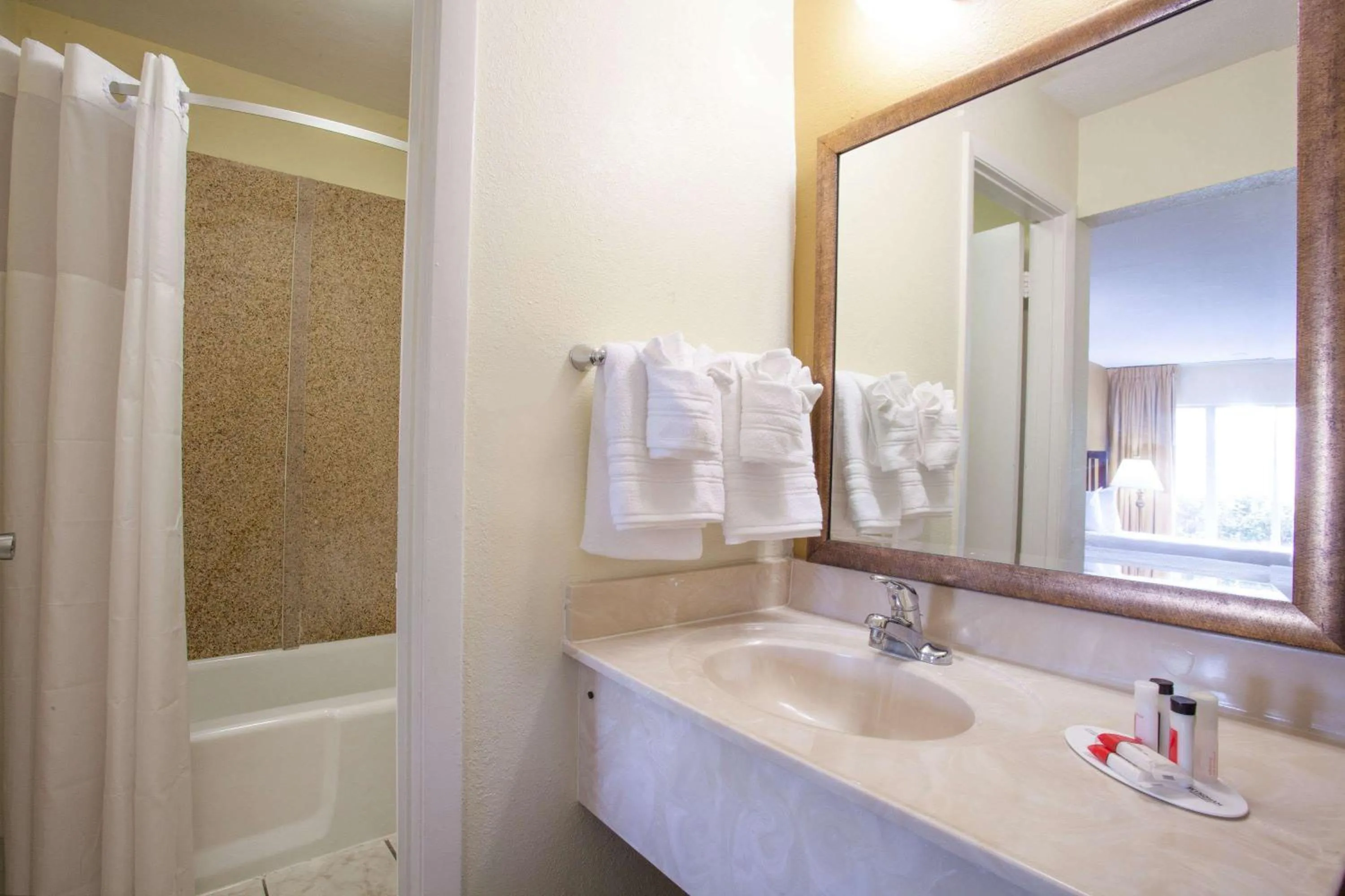 Bathroom in Days Inn by Wyndham Daytona Beach Speedway