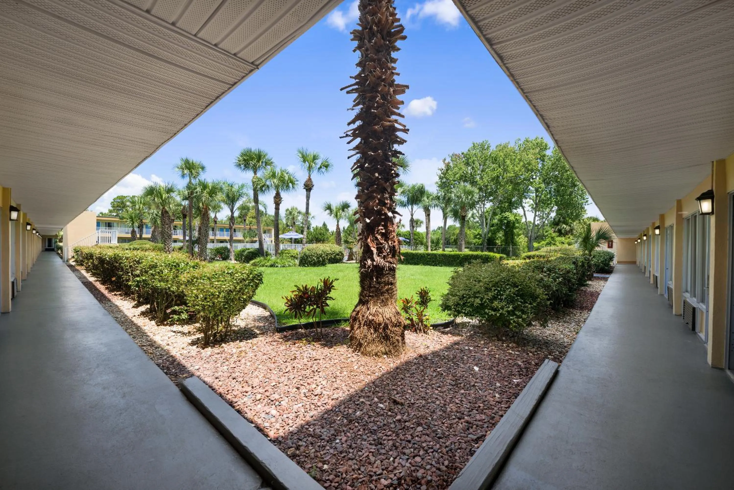 Garden in Days Inn by Wyndham Daytona Beach Speedway