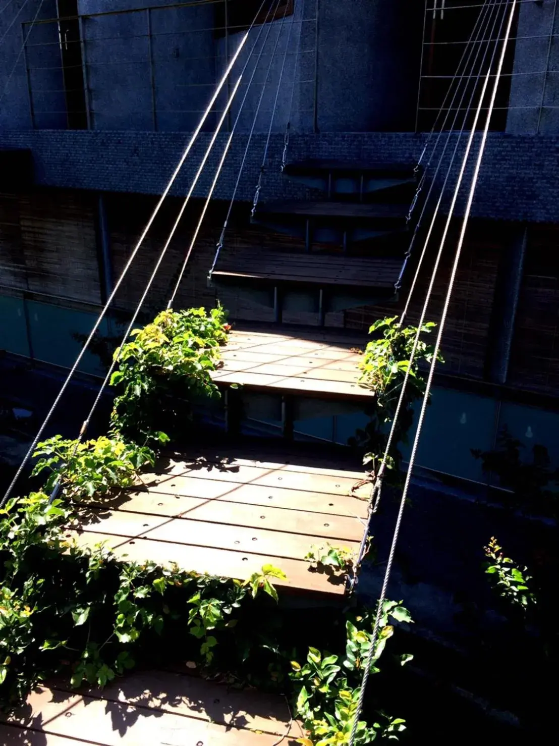 Stone Party Stone Party