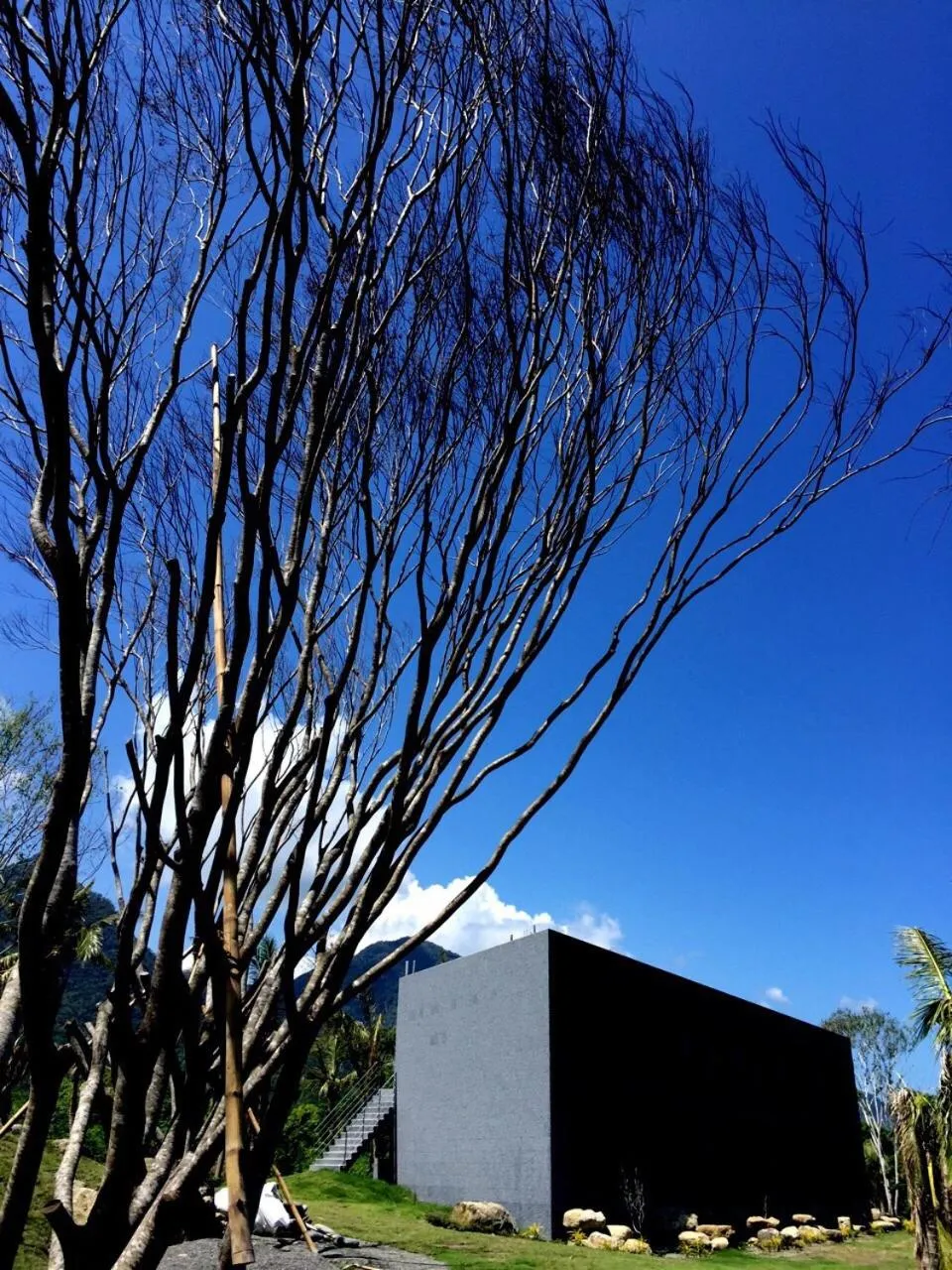 Property building in Stone Party