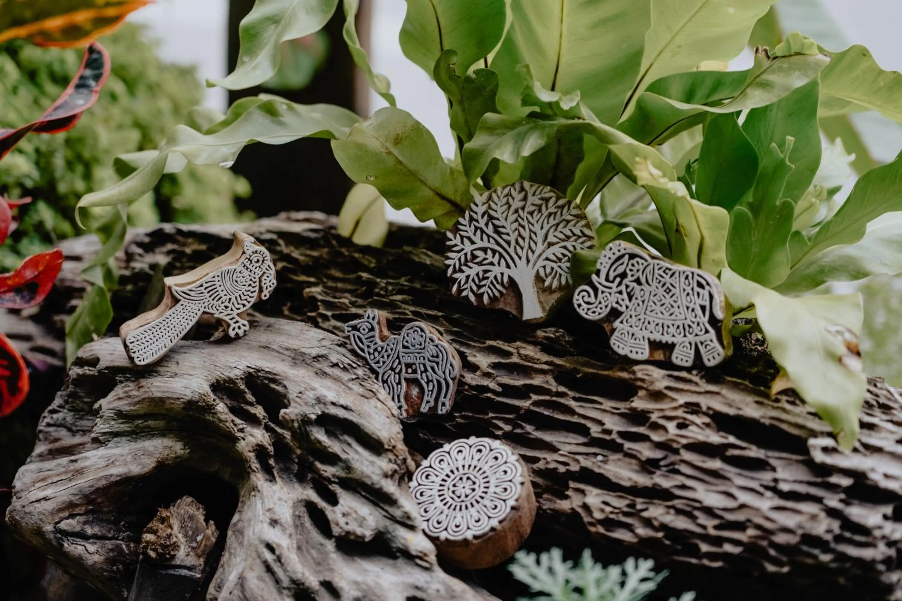 Dulan The Travel Bug Bistro Inn