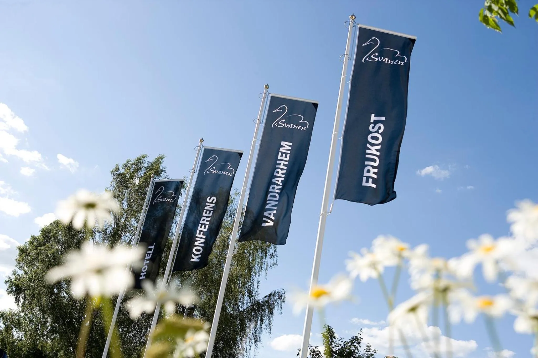 View (from property/room) in Vandrarhem Svanen