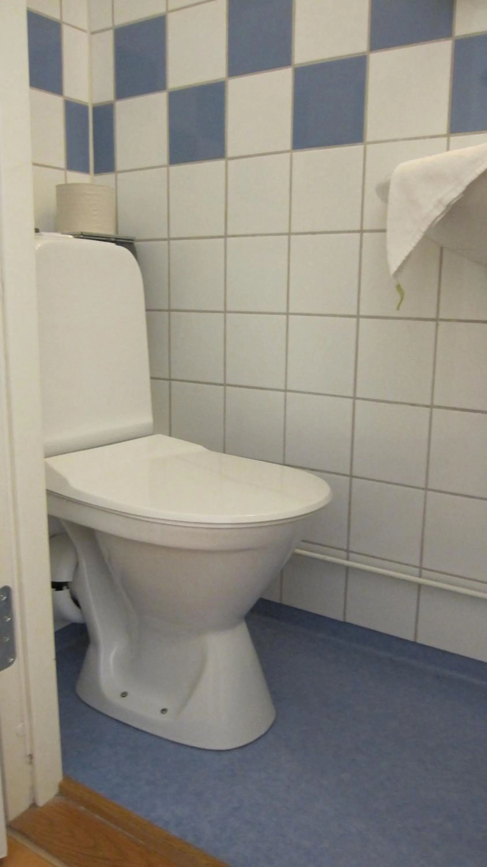 Toilet in Vandrarhem Svanen
