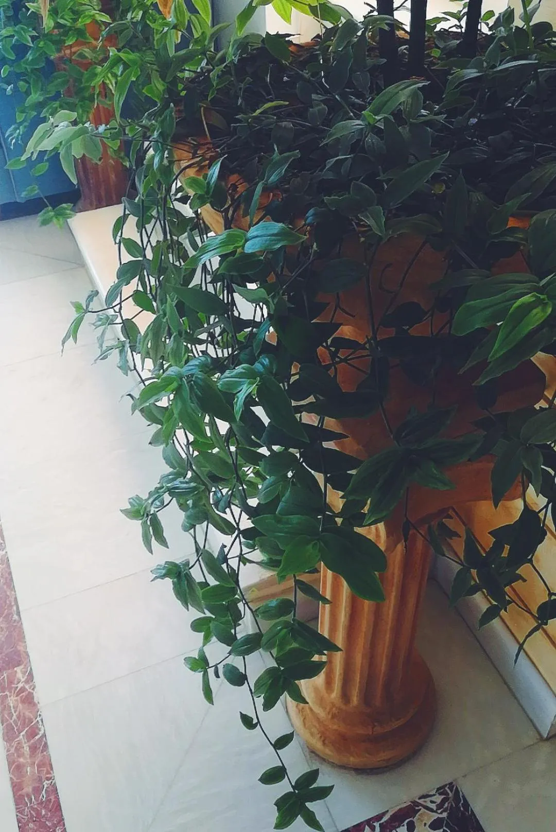 Decorative detail in Porto Plakias & Spa