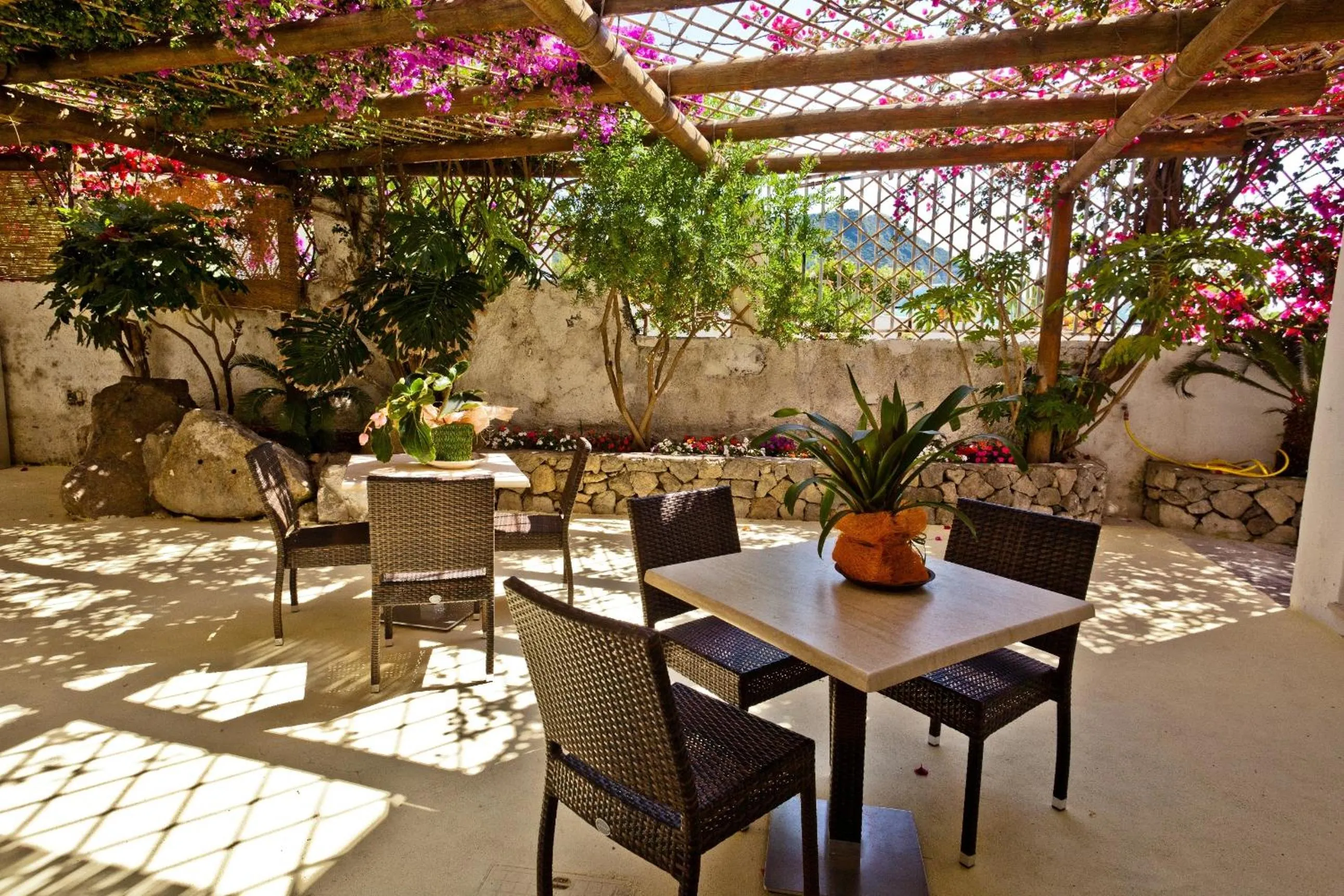 Patio in Hotel Citara