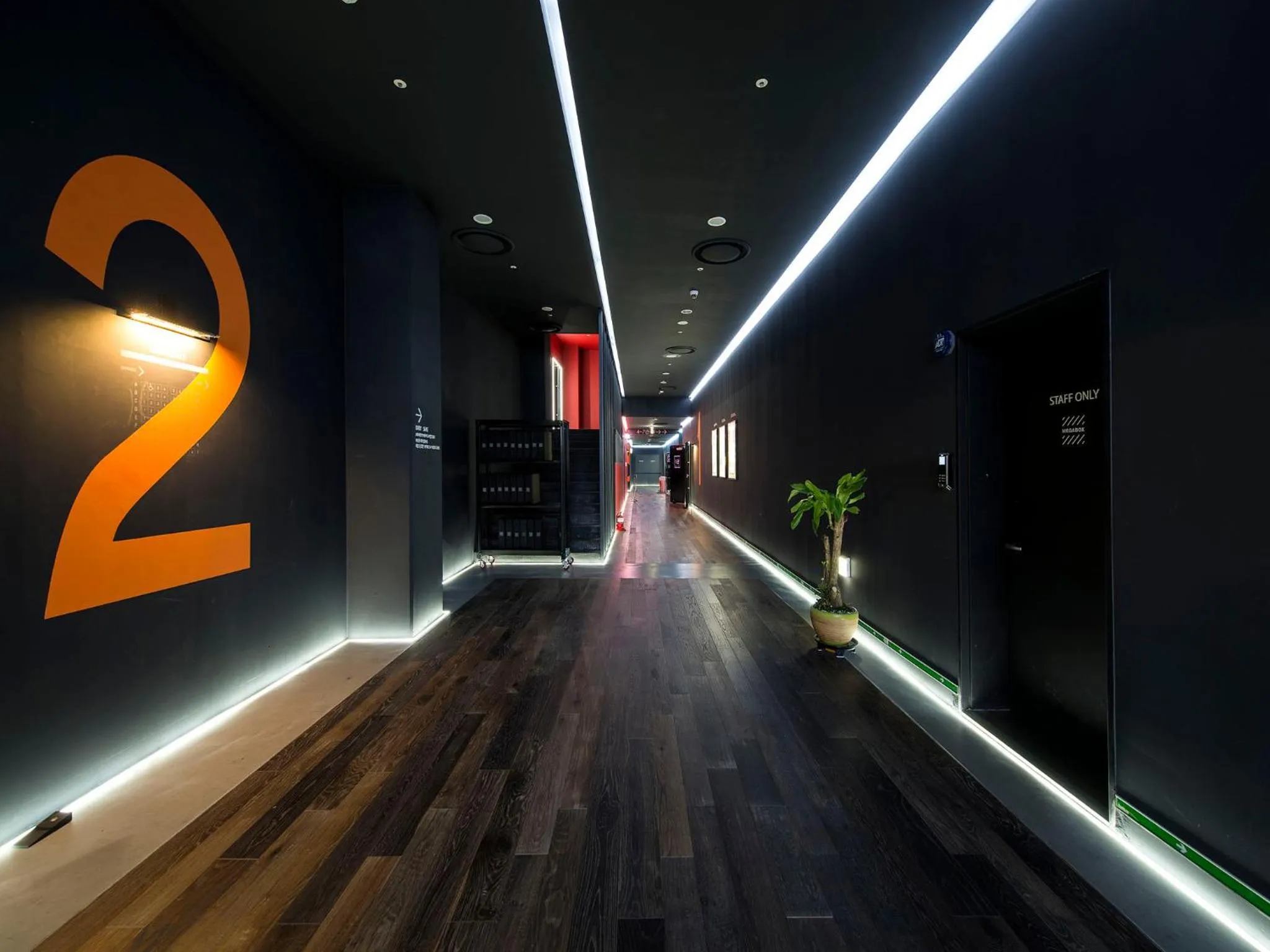 Activities in Hotel Park Habio