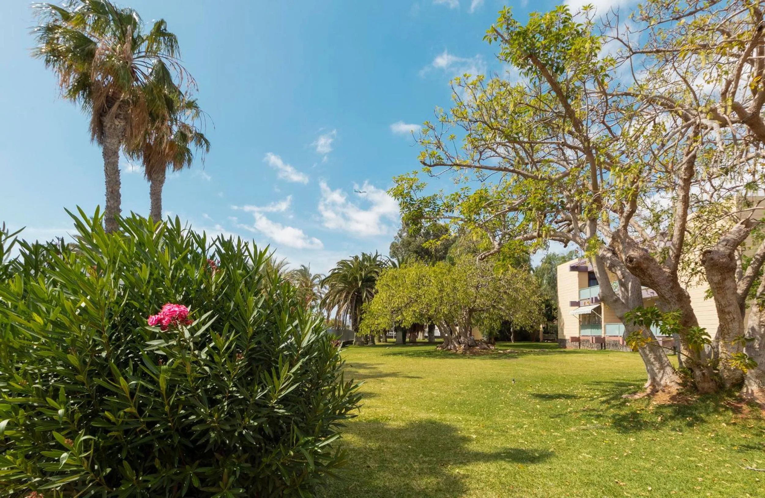Garden in Hotel Palia Don Pedro