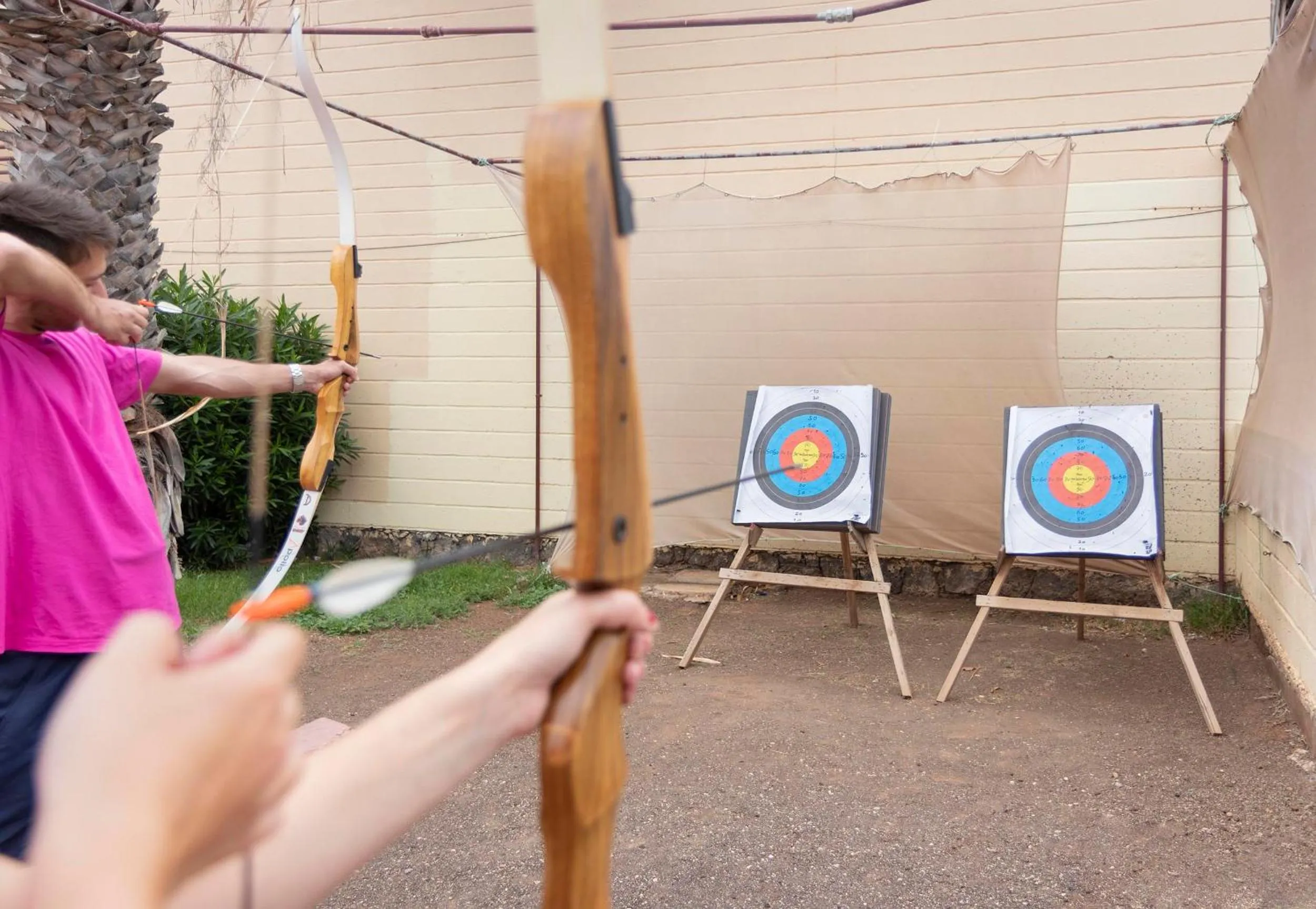 Activities in Hotel Palia Don Pedro