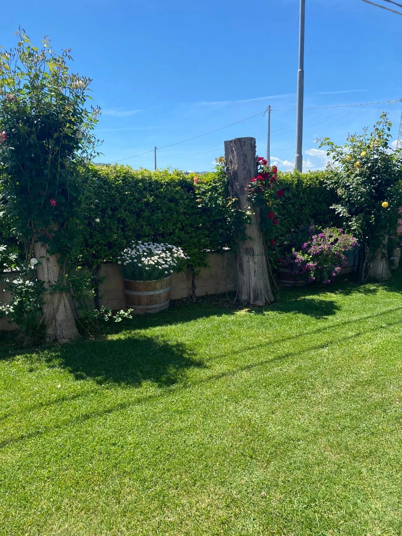 Garden in Hotel Ristorante Casa Rossa