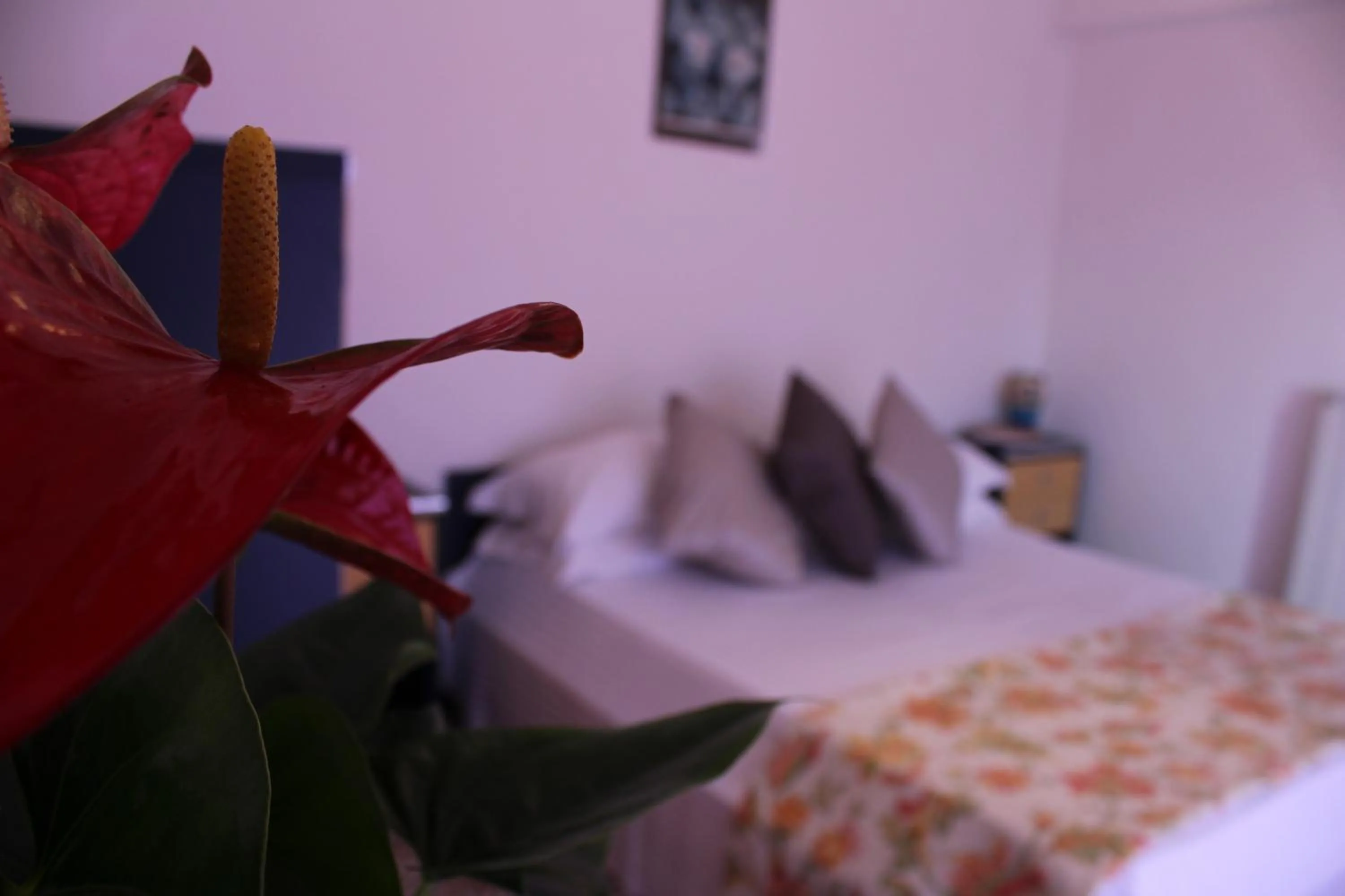 Decorative detail, Bed in Tramonti Green