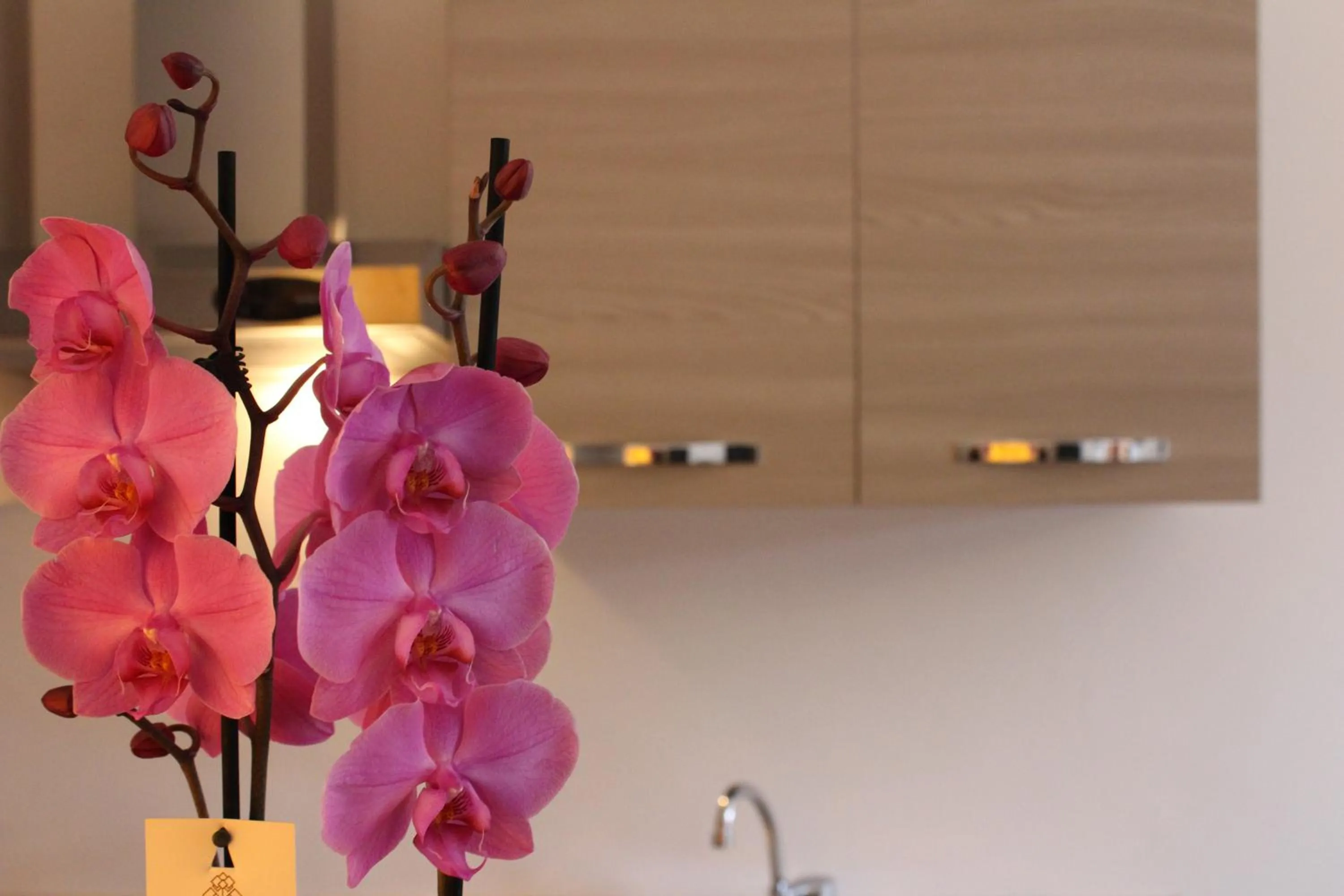 Decorative detail in Tramonti Green