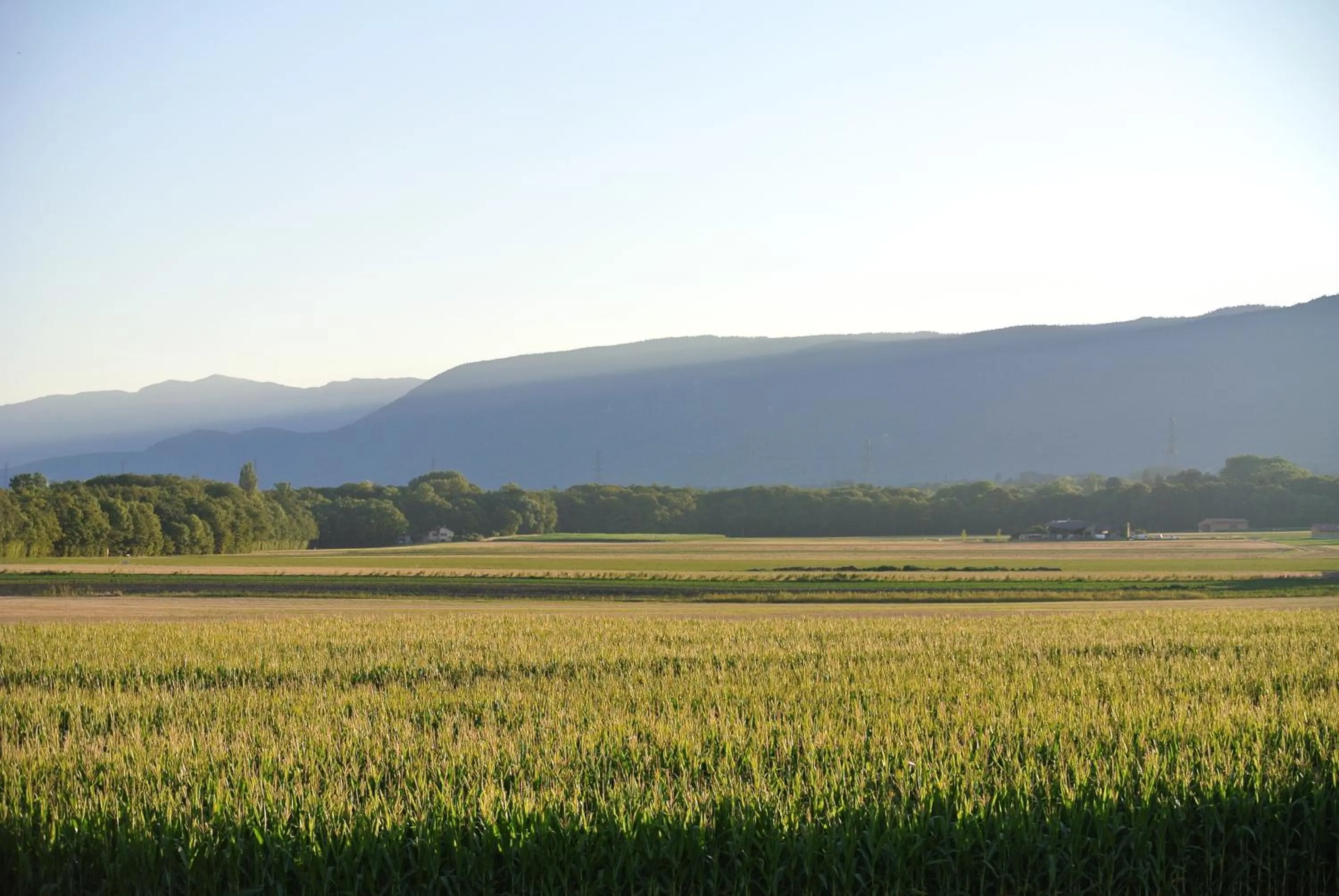 Area and facilities in Auberge de la Réunion