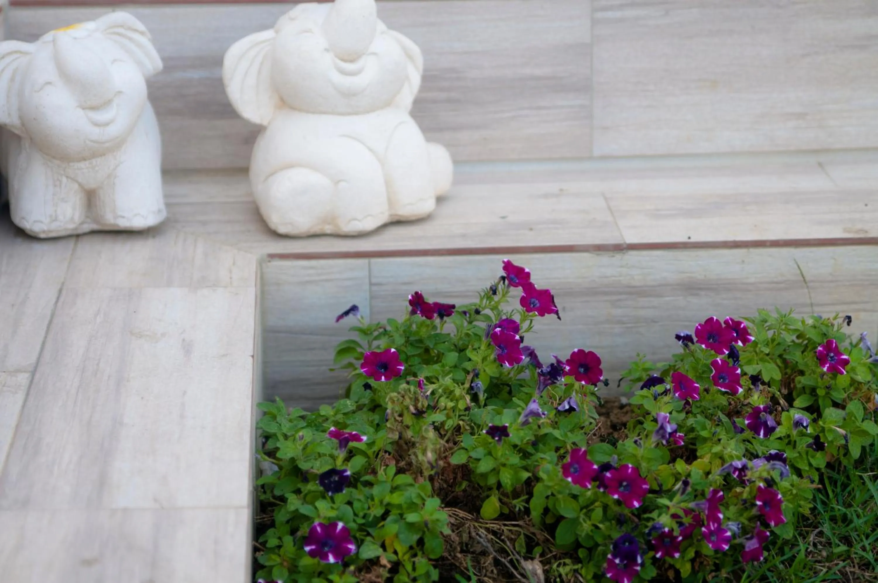 Facade/entrance in Su Beautiful Home Stay