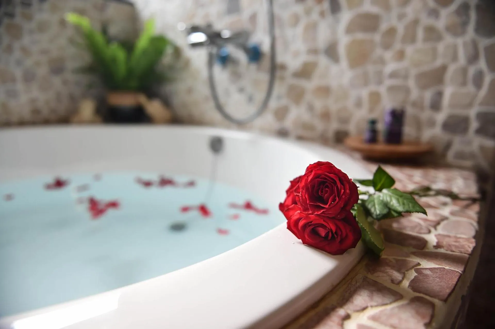 Su Beautiful Home Stay