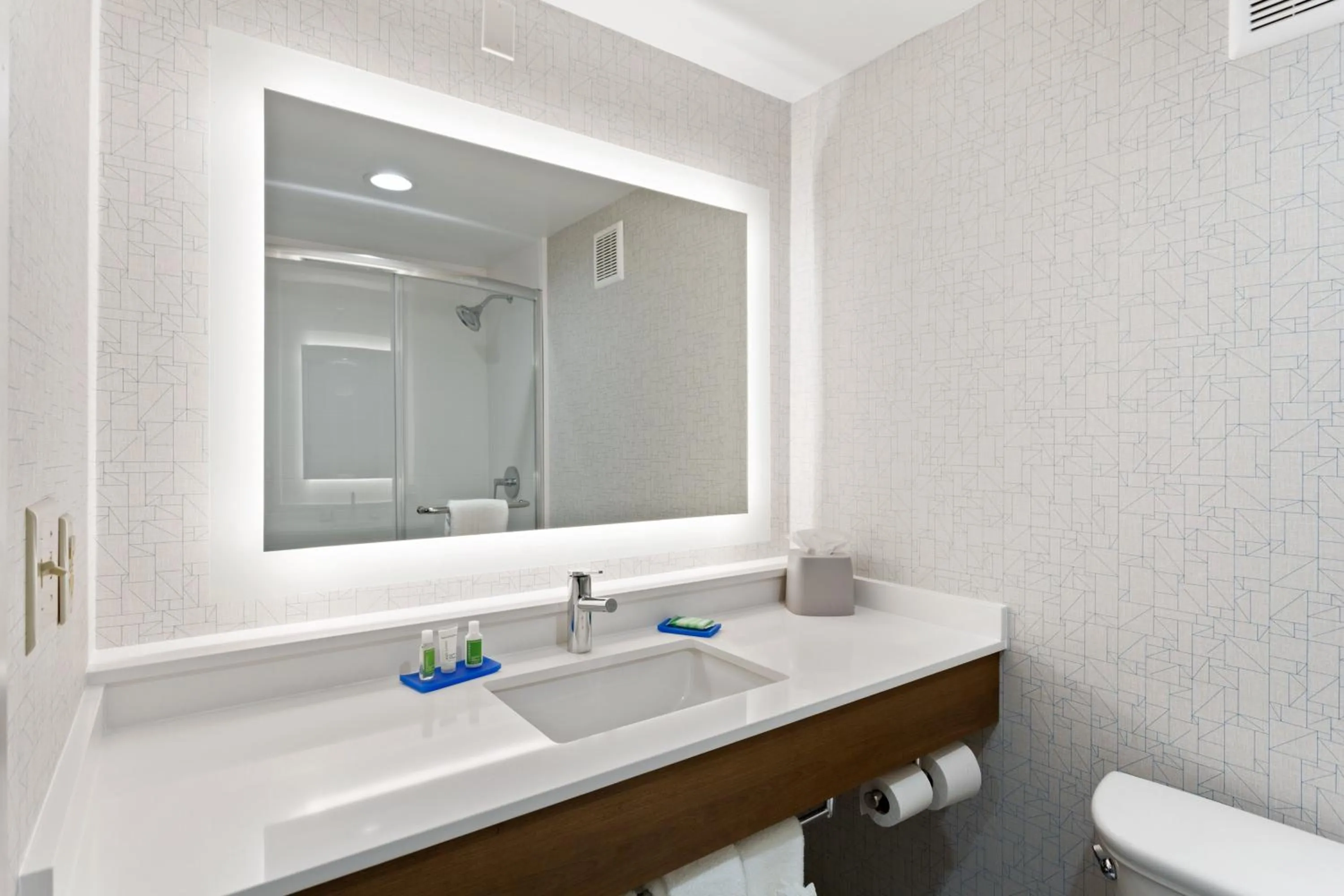Bathroom in Holiday Inn Express Hopewell - Fort Lee by IHG