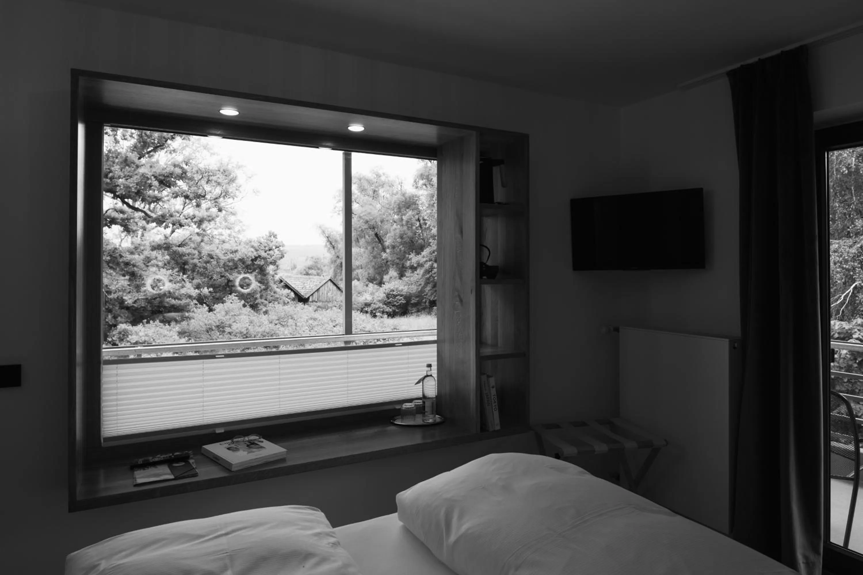 View (from property/room), Bed in Strandhotel SüdSee Diessen am Ammersee