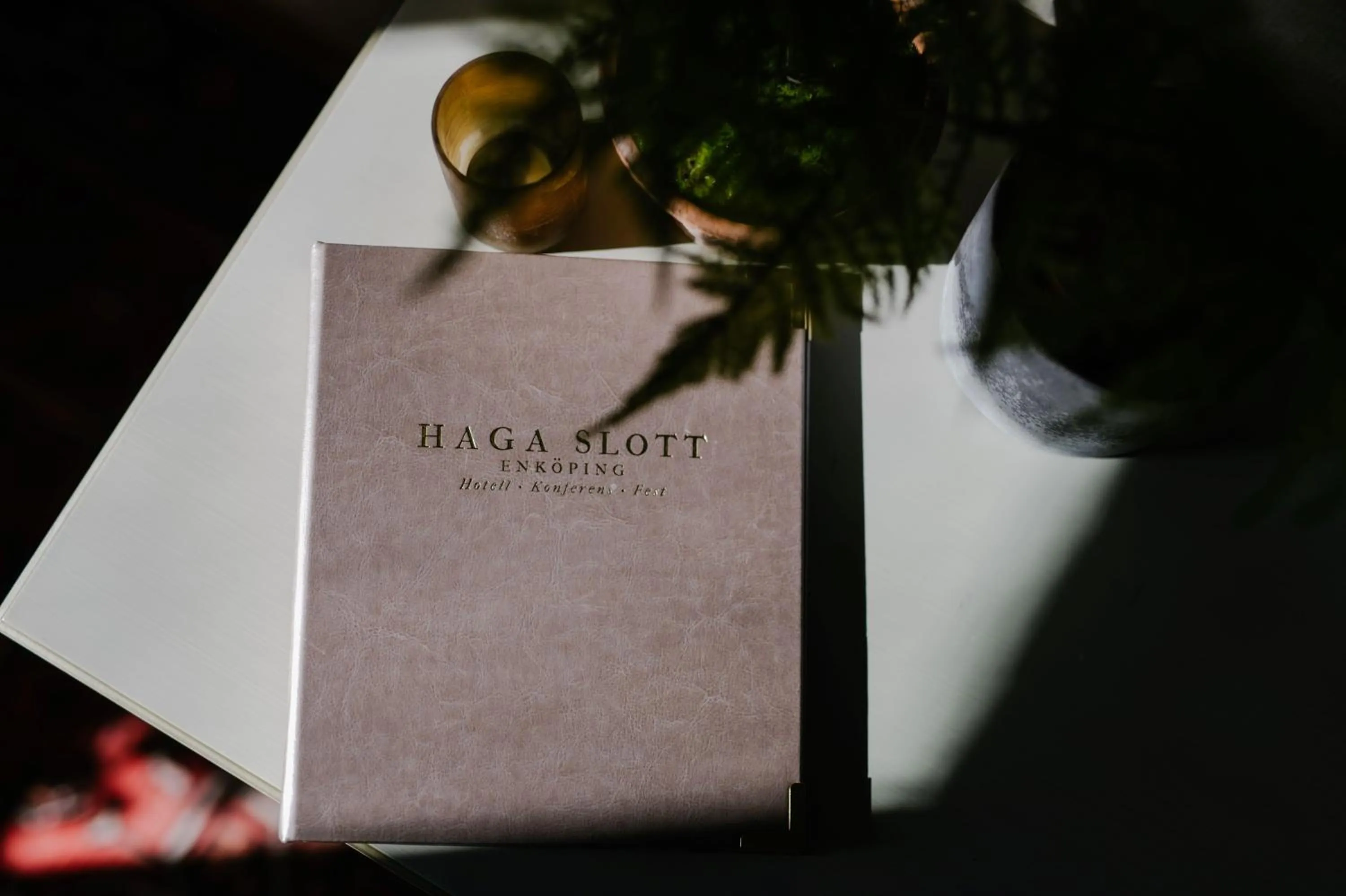 Property logo or sign in Haga Slott