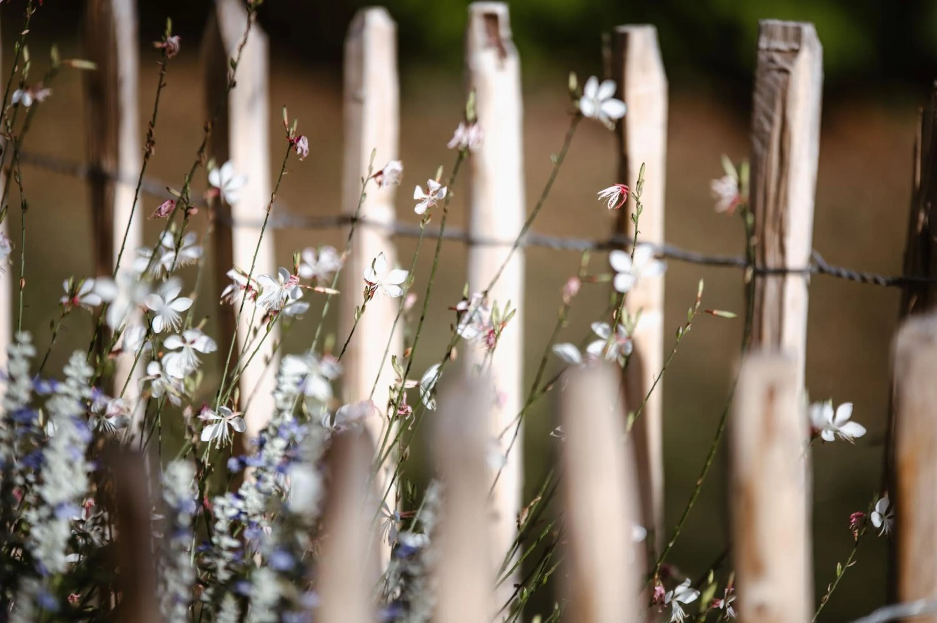 Garden in Haga Slott