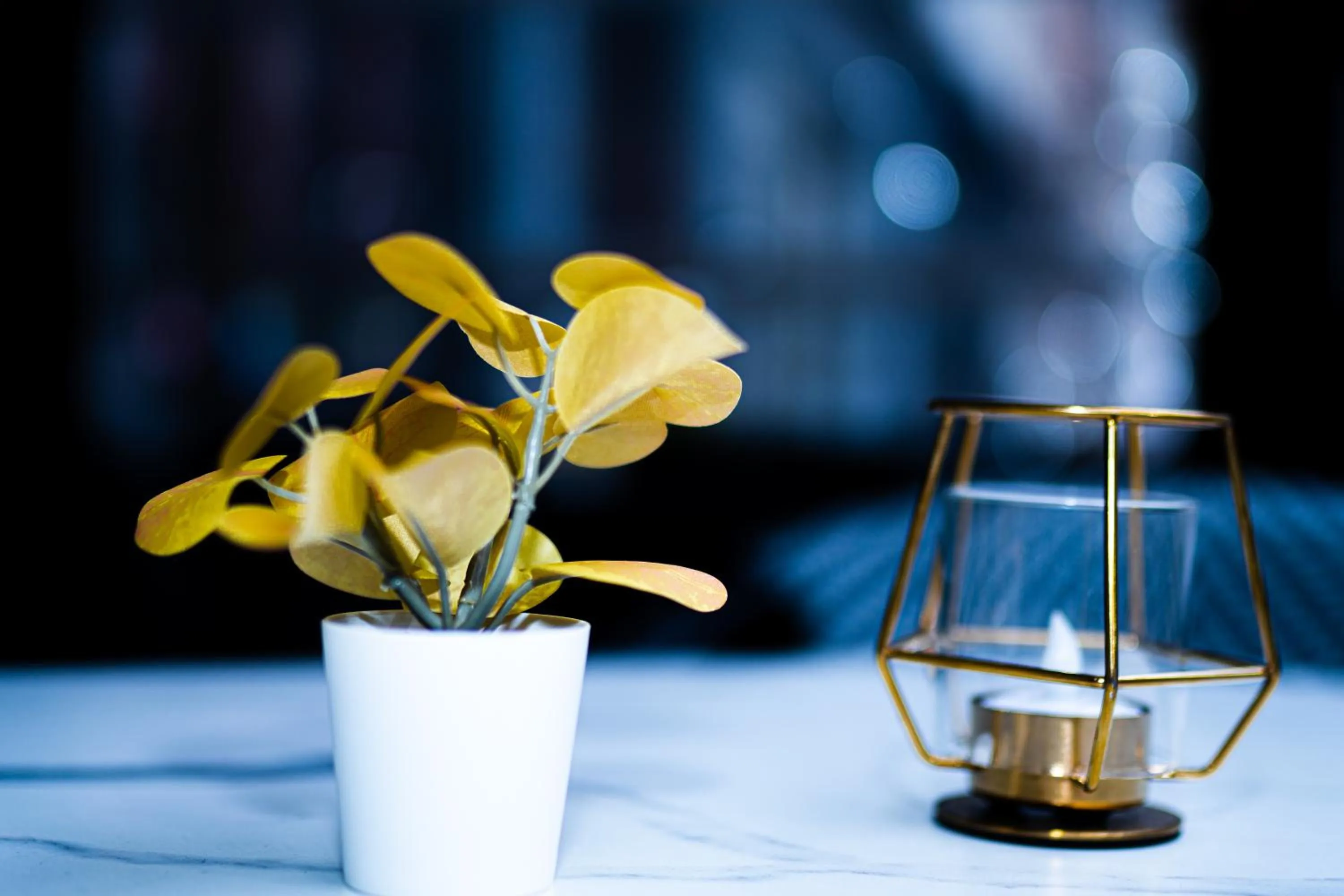 Facade/entrance in Hotel Professor Leuven Centrum