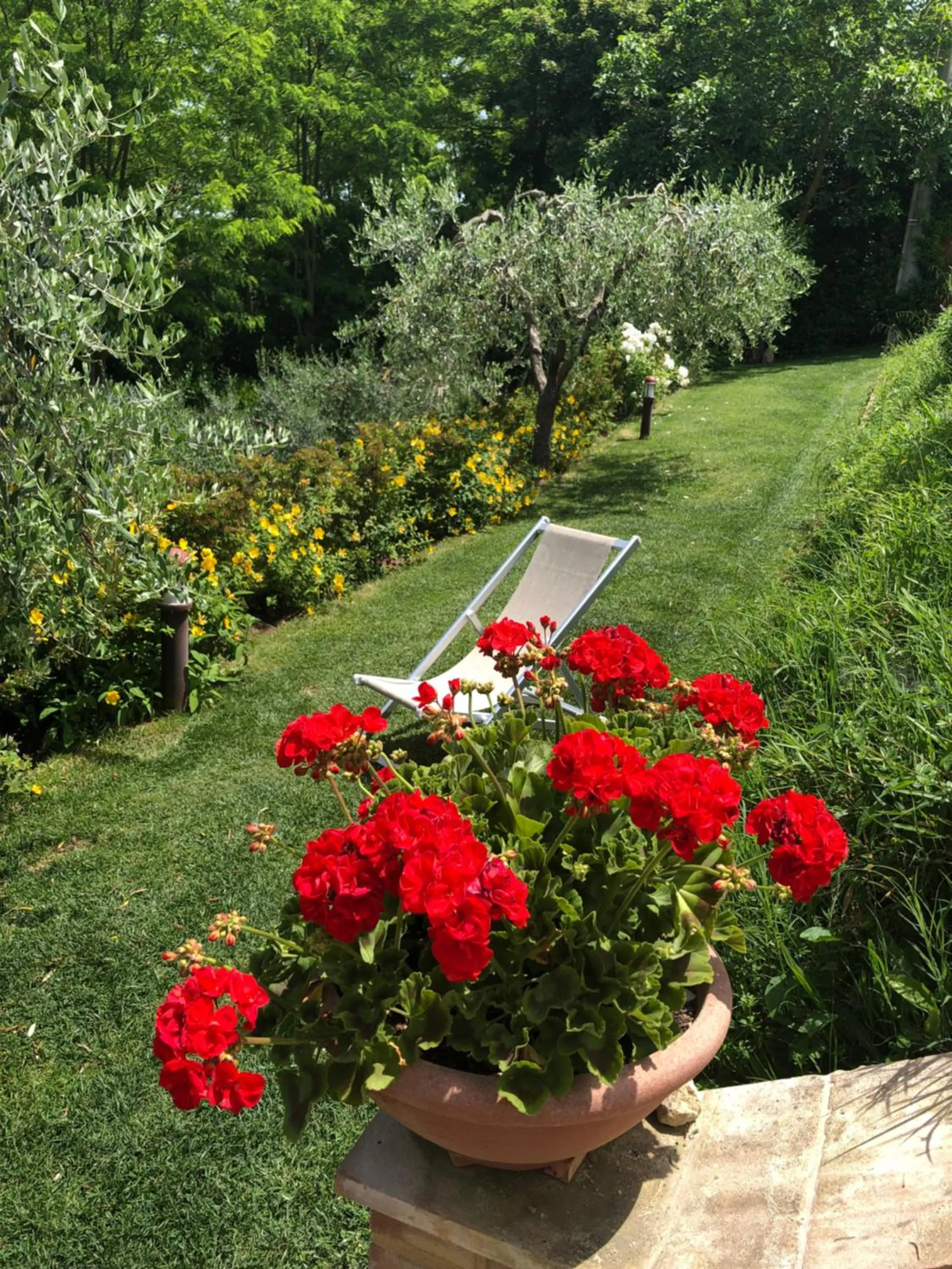 Garden in B&B La Cornice