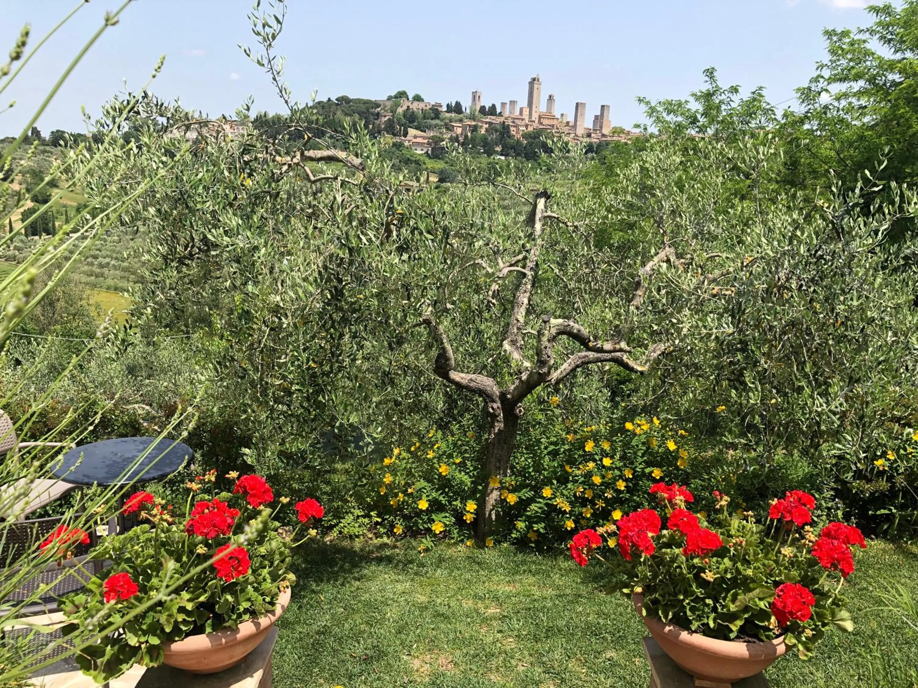 Garden in B&B La Cornice
