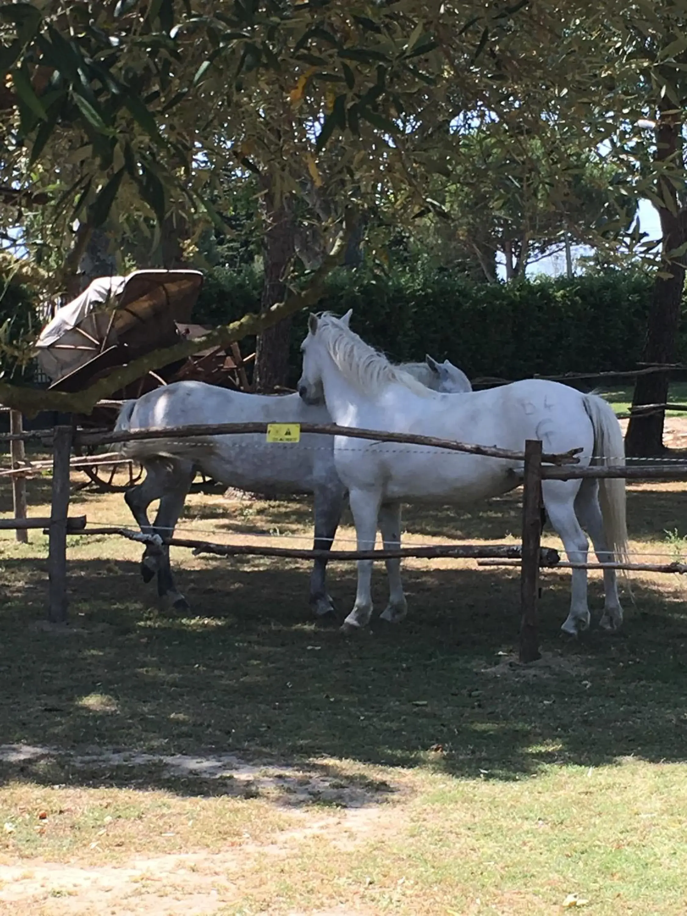 Studio (2 Adults) with Terrace and Garden in Lou Garbin Studio (2 Adults) with Terrace and Garden in Lou Garbin