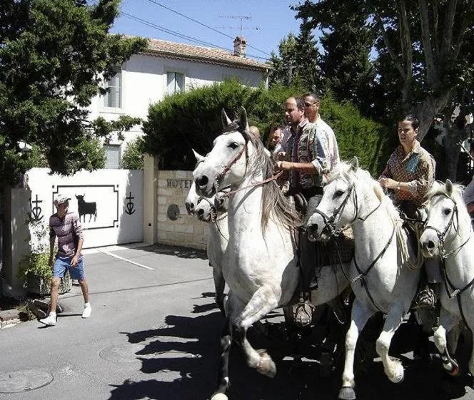 Area and facilities in Lou Garbin