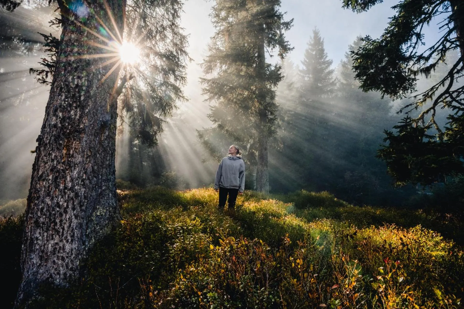 Natural landscape in Mari Pop Hotel