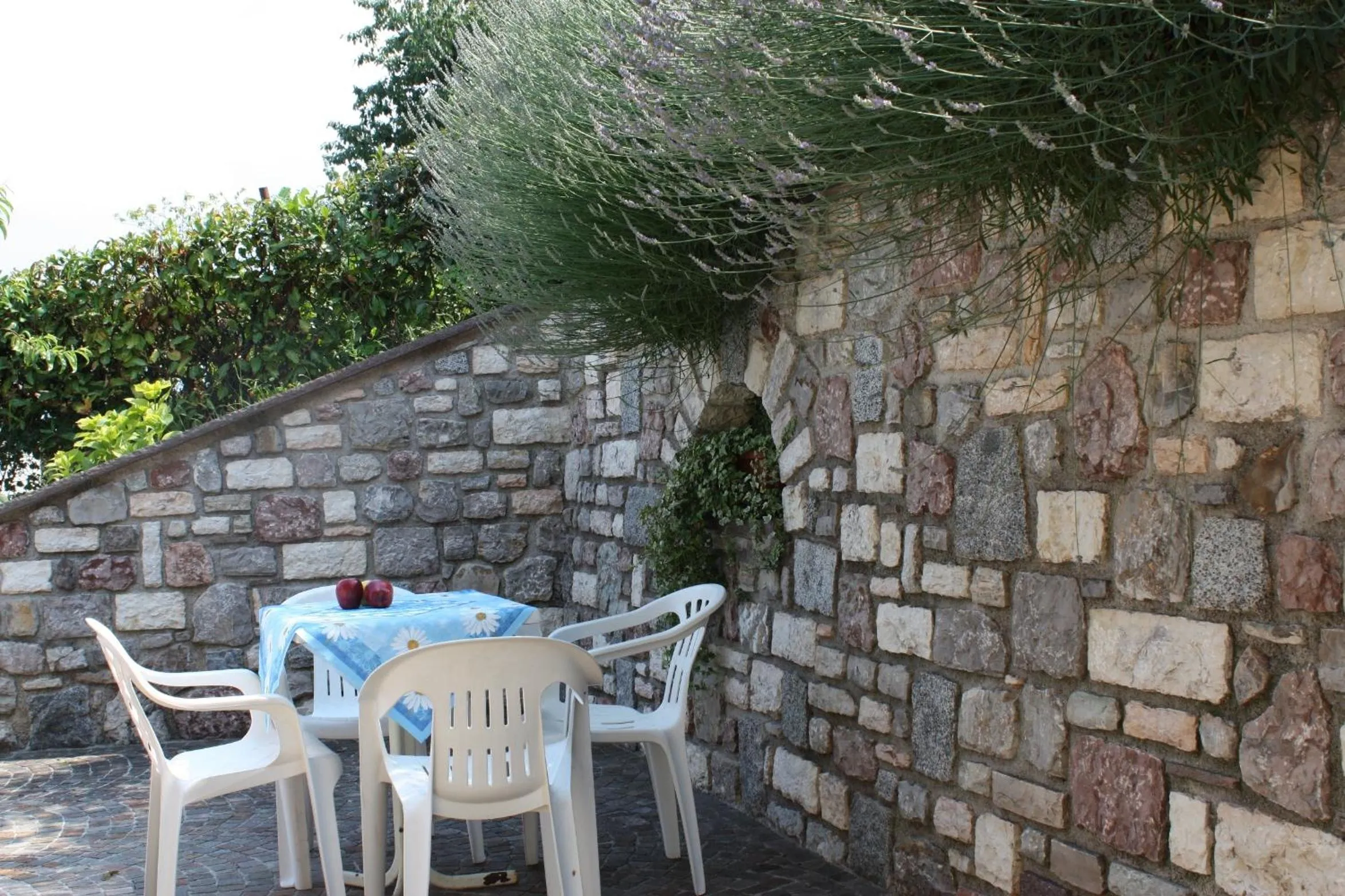 Balcony/Terrace in 3MÙZEN apartments
