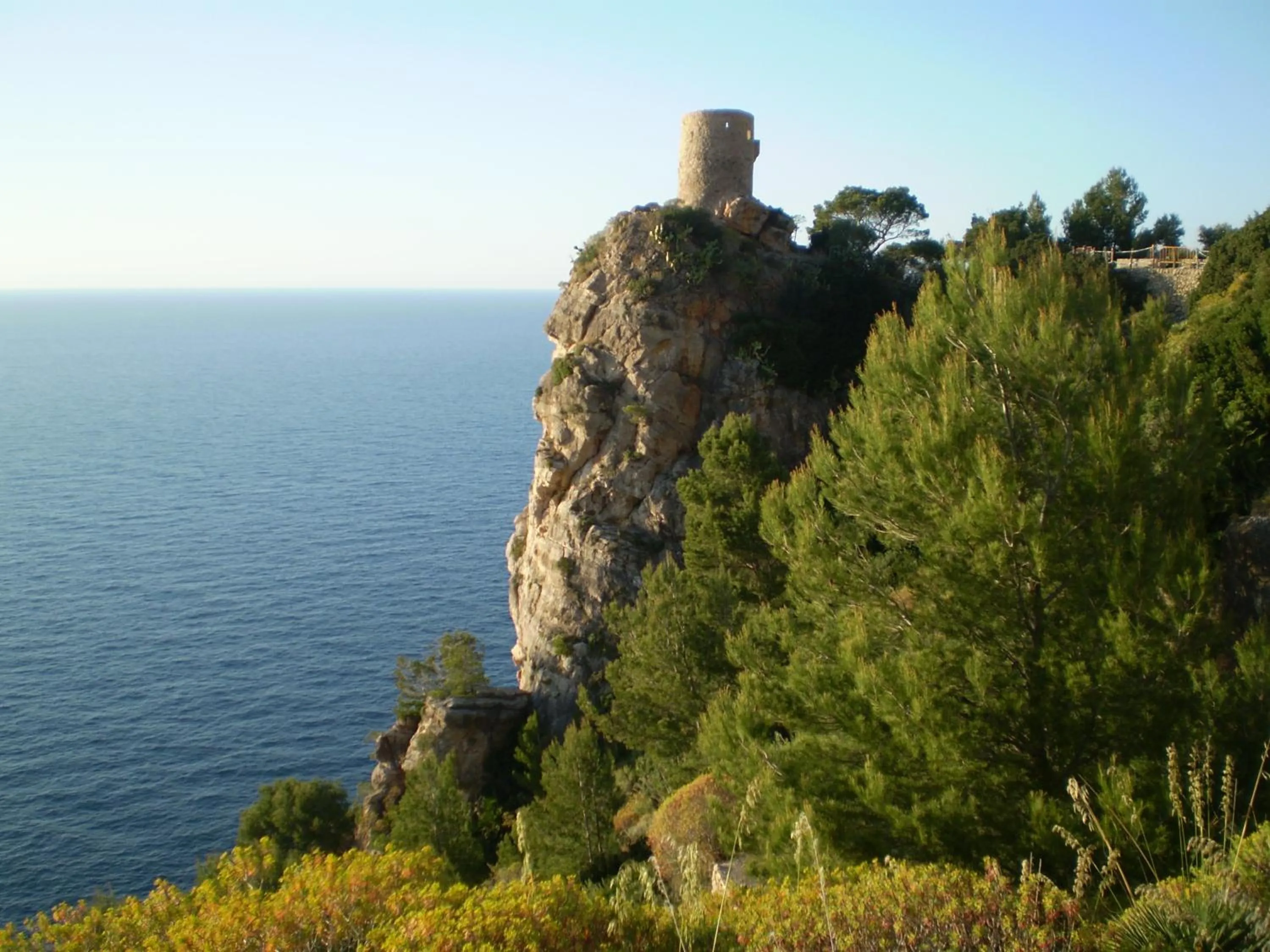 Natural landscape in Can Busquets