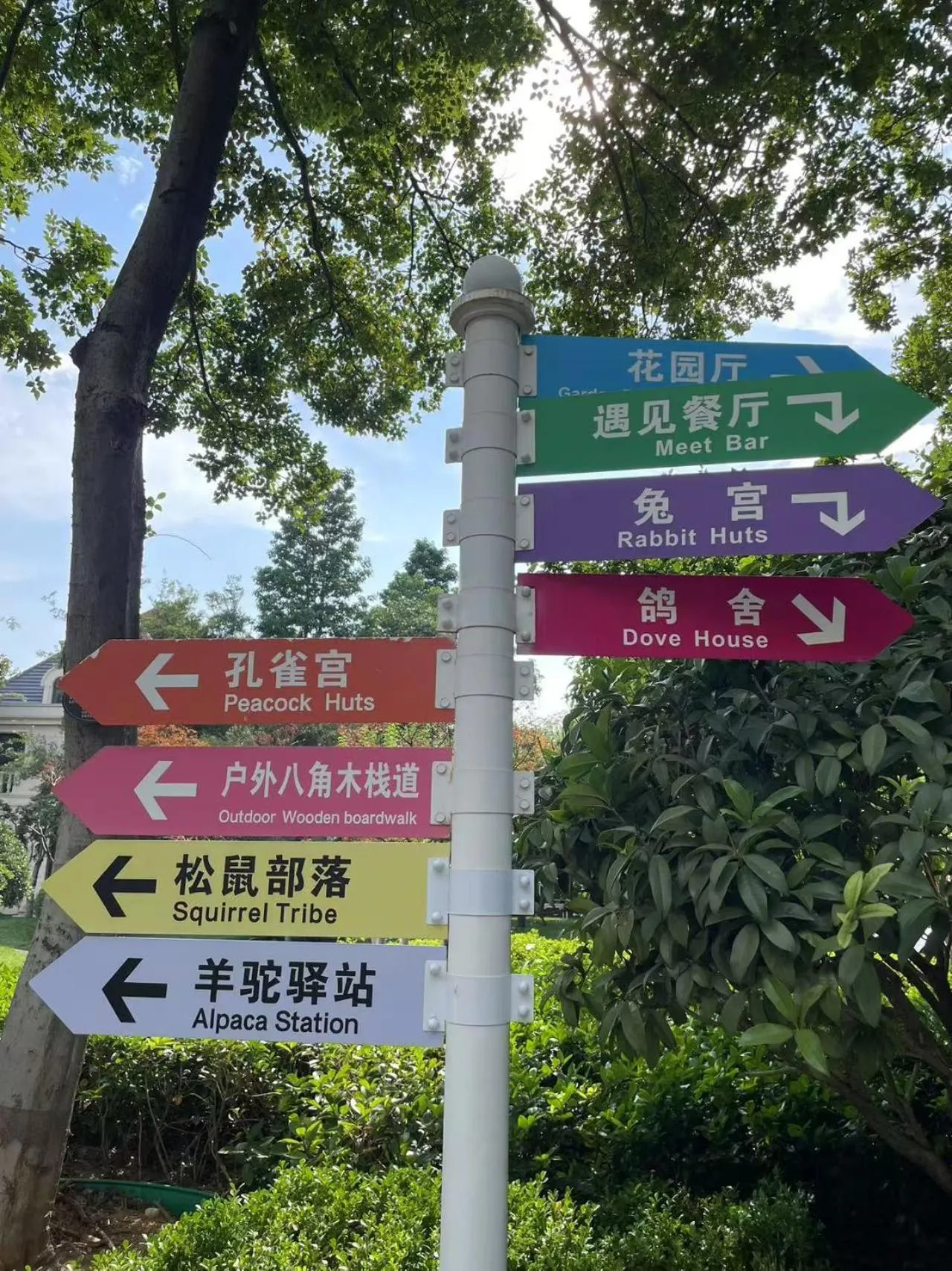 Animals in Wyndham Qingdao l Free Fixed-Time Shuttle Service Between Hotel and Airport & North Railway Station l Outdoor Children's Amusement Park l 1-Hour Play Snooker or Table Tennis