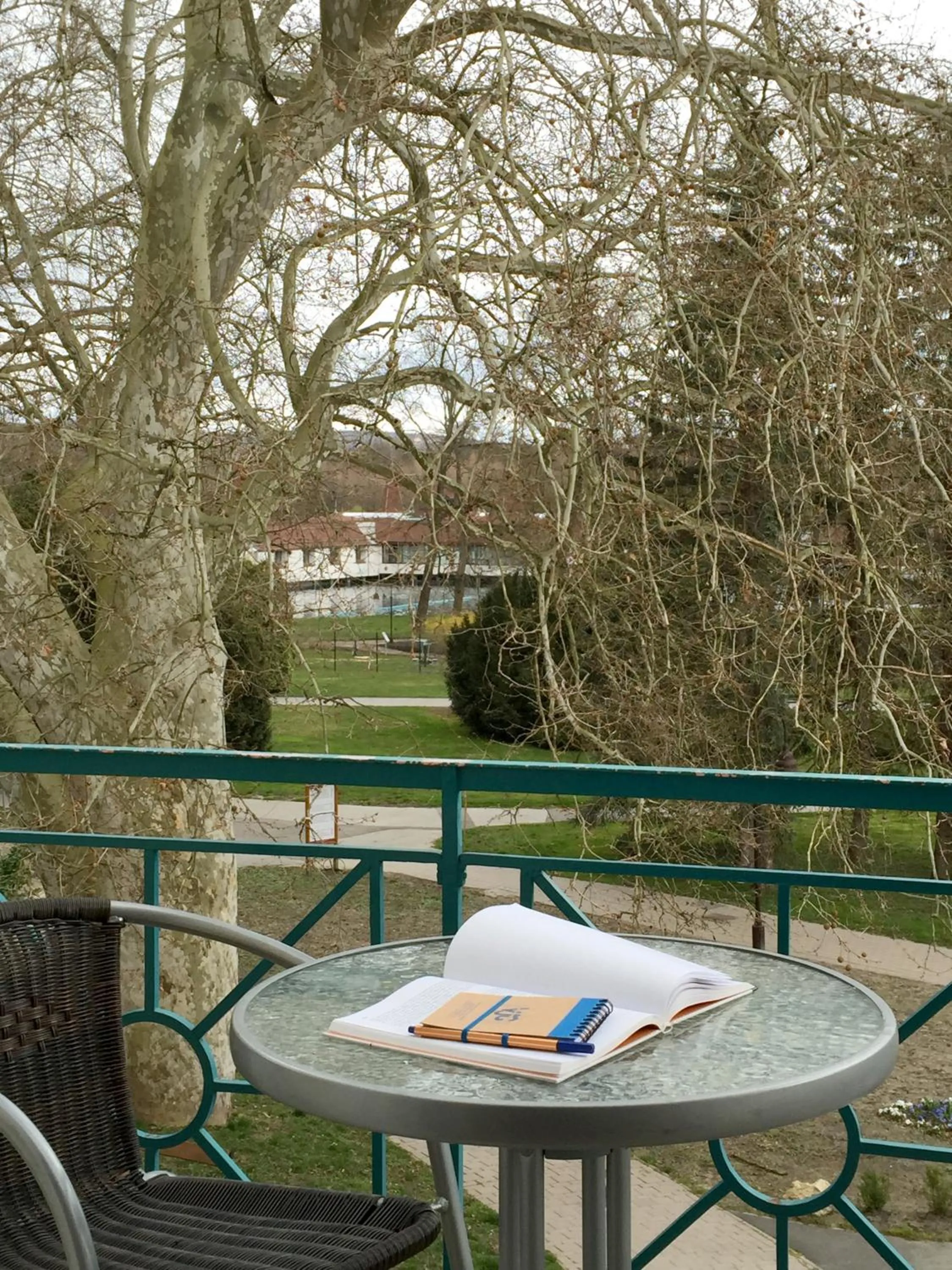 Neighbourhood in Hotel Spa Hévíz