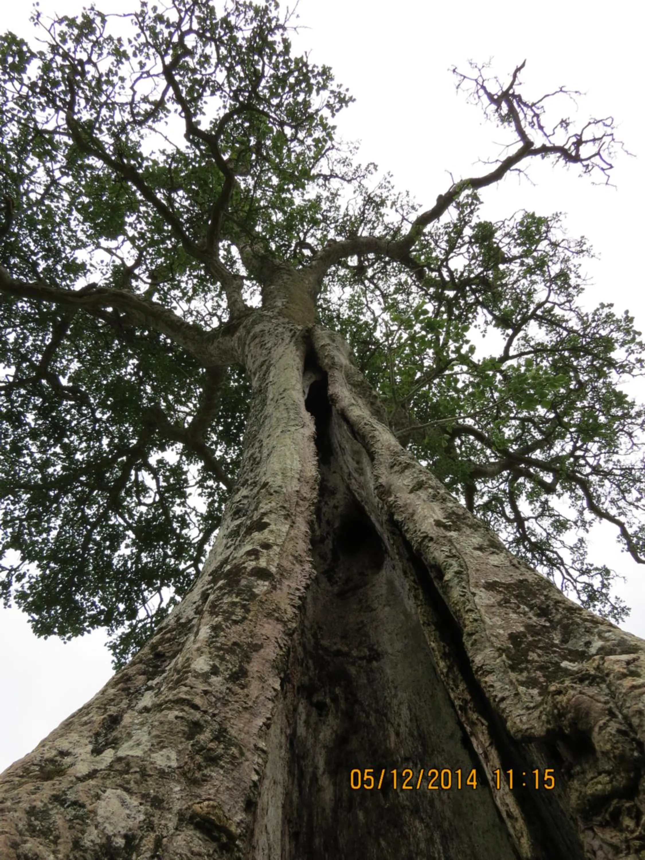 Burlington Bush Cottages by The Oyster Collection