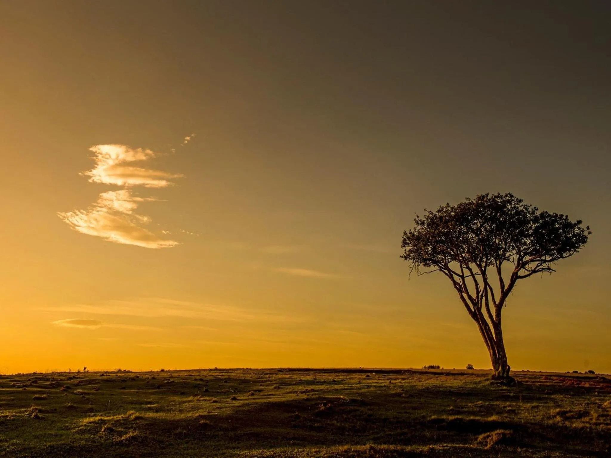 View (from property/room) in Burlington Bush Cottages by The Oyster Collection