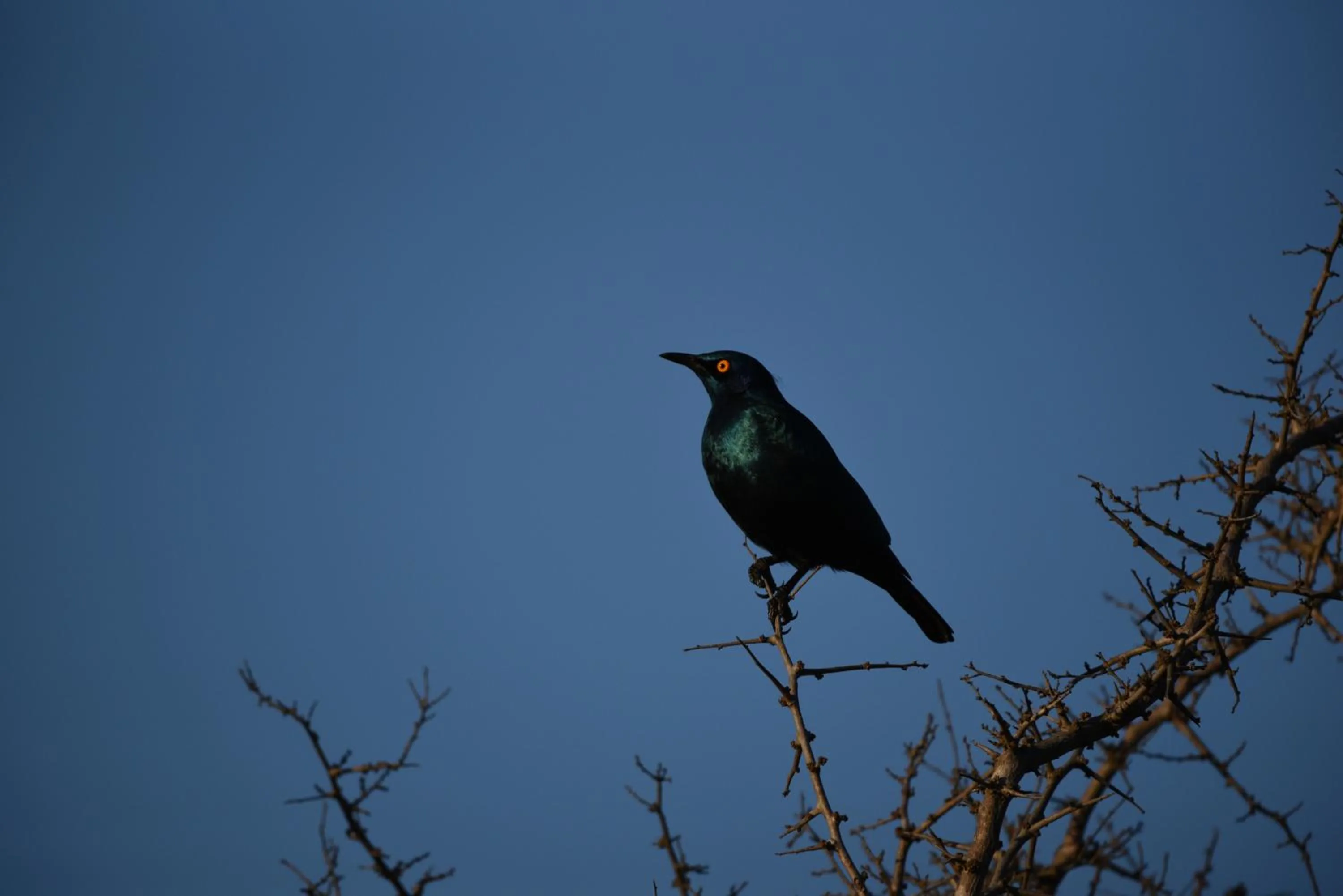 Burlington Bush Cottages by The Oyster Collection