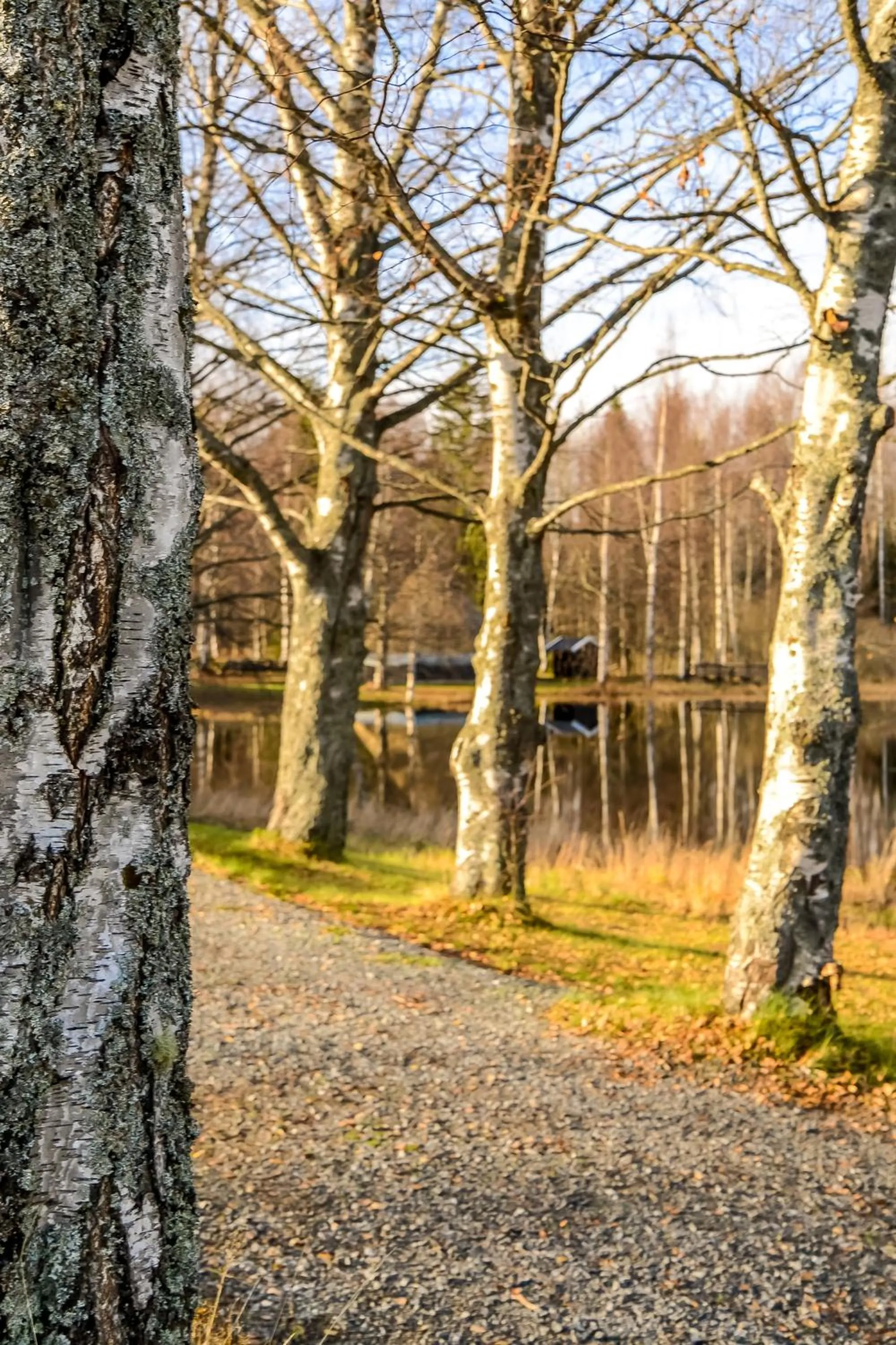 View (from property/room) in Hurdalsjøen Hotel & Spa