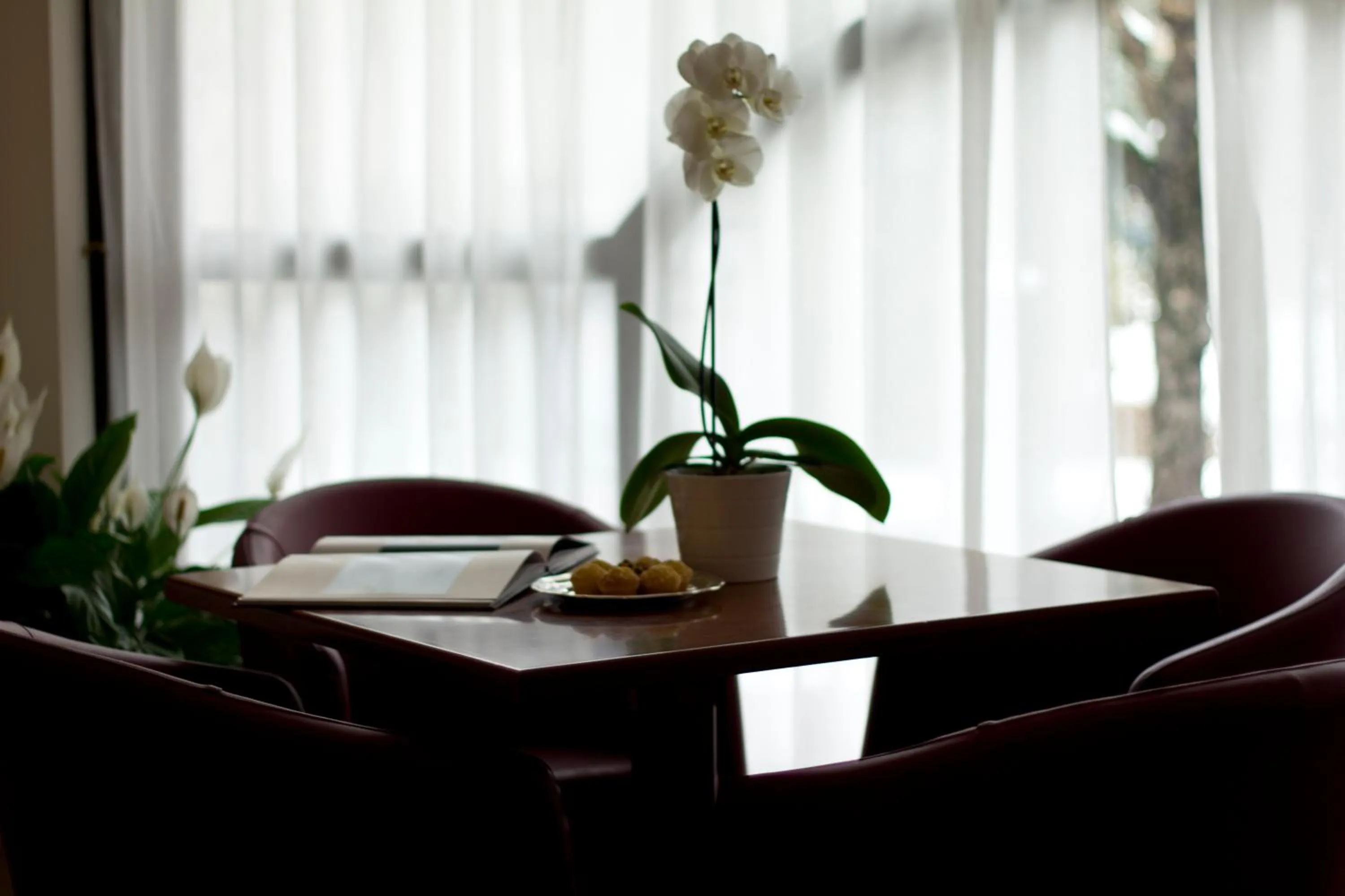 Restaurant/places to eat in Hotel Norden Palace