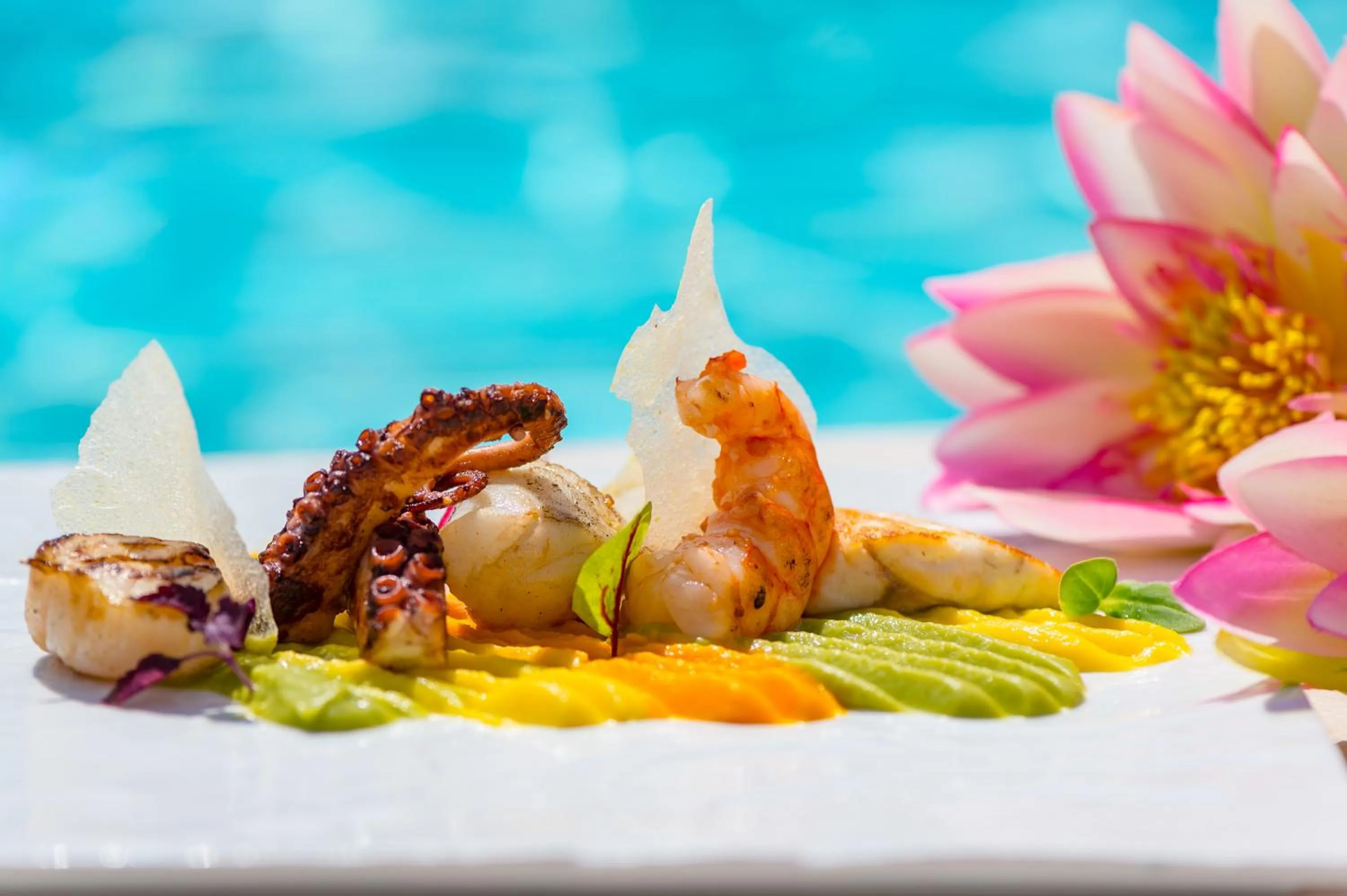 Restaurant/places to eat in Baia del Mar Beach Boutique Hotel