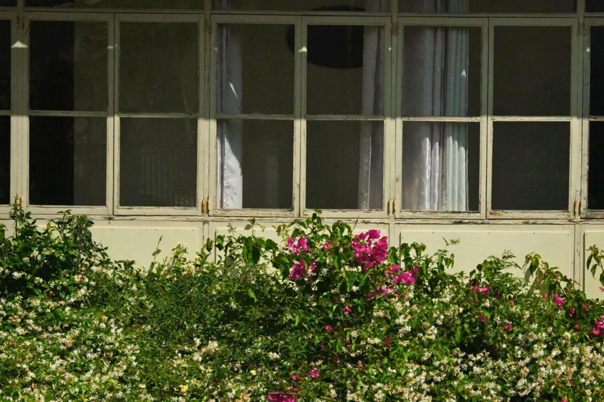 Garden view in Hotel Can Abril