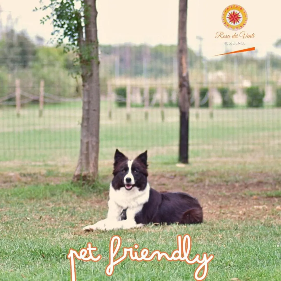Pets in Rosa Dei Venti