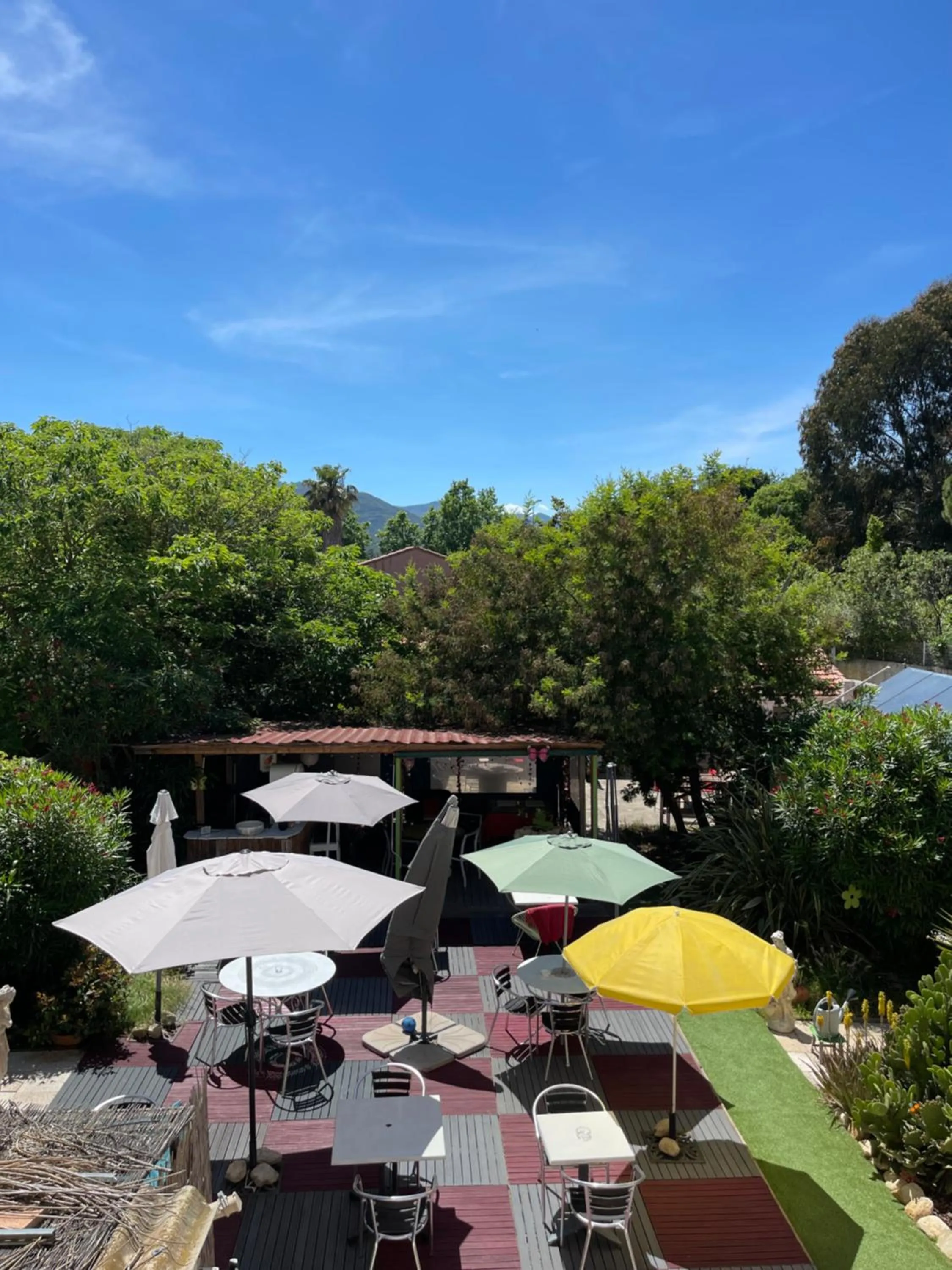 Garden in Hotel Clair Logis