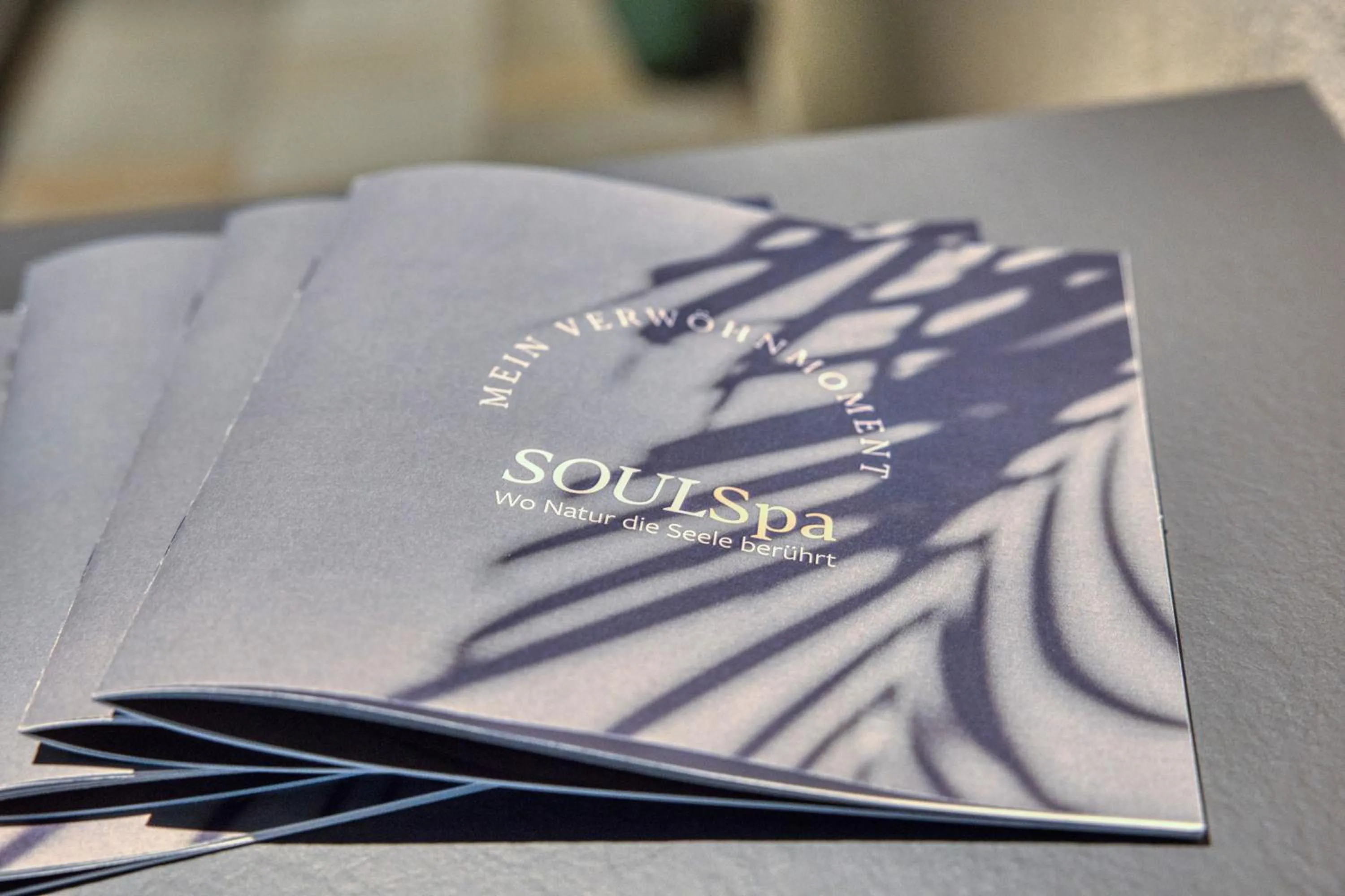 Spa and wellness centre/facilities in Hotel Alte Post