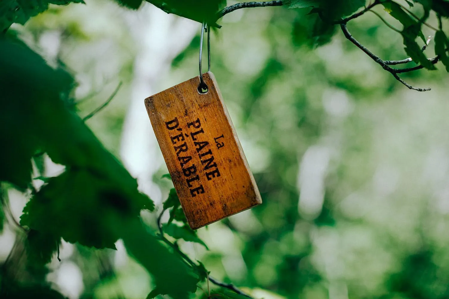Natural landscape in Canopée Lit