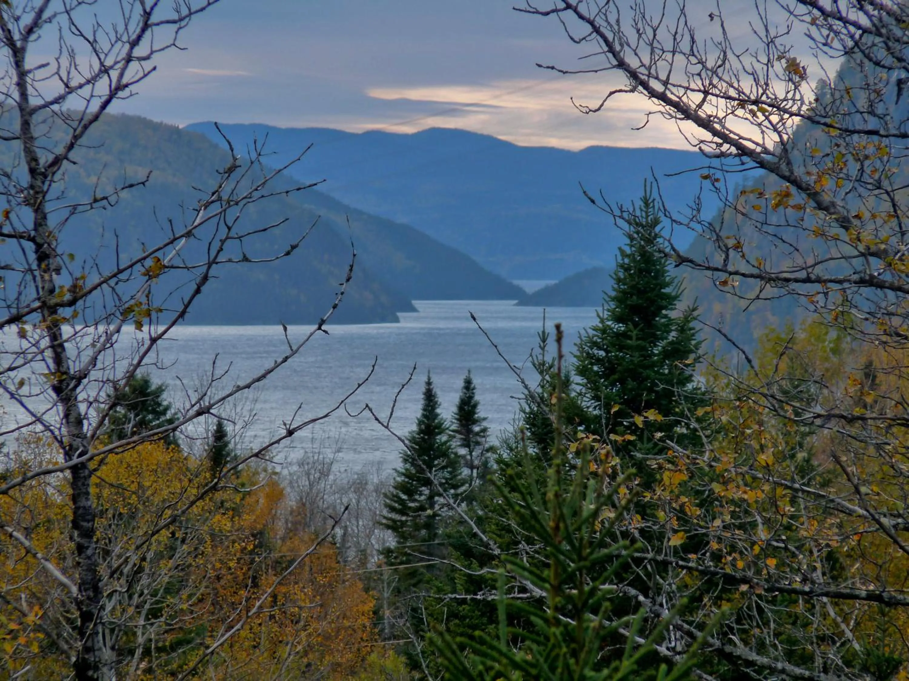 View (from property/room) in Canopée Lit
