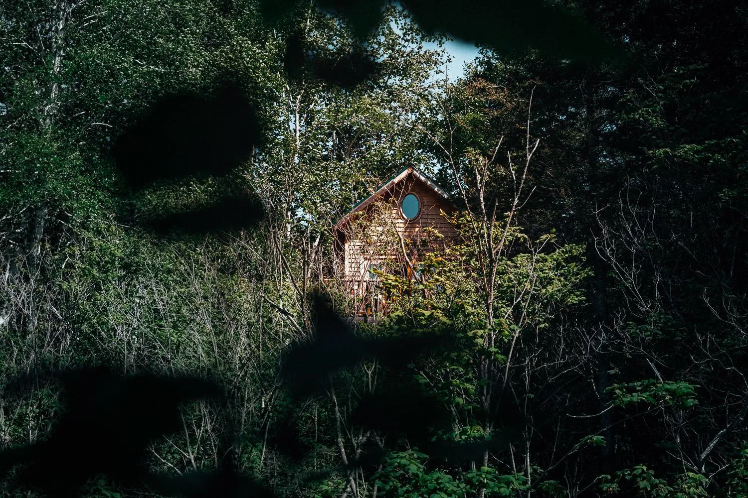 Natural landscape in Canopée Lit