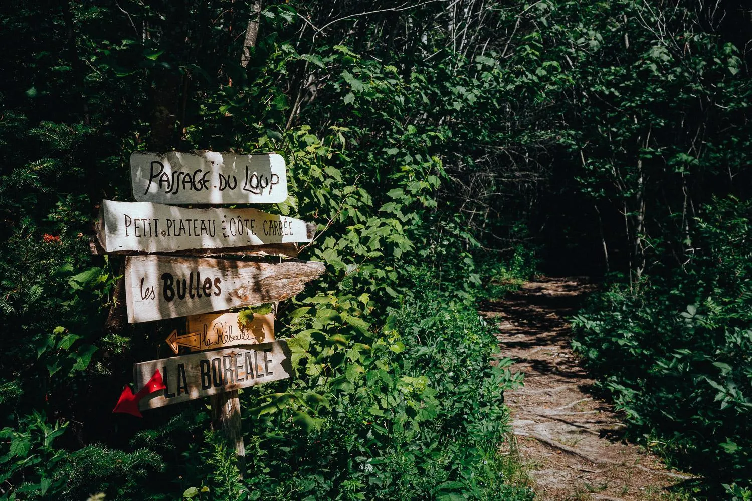 Spring in Canopée Lit
