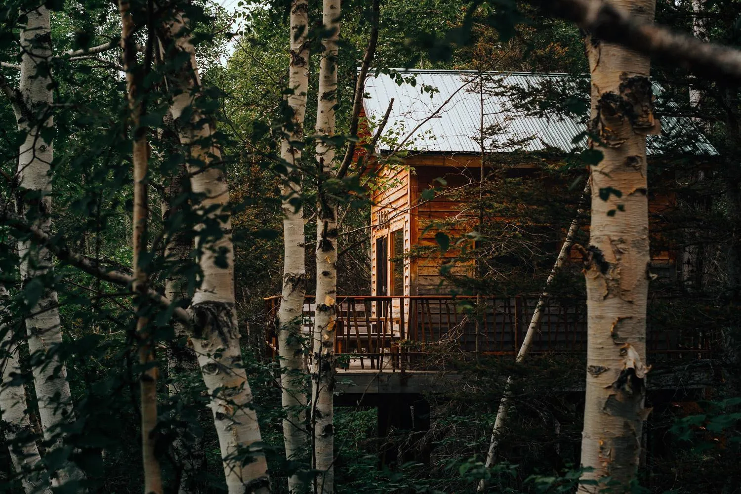 Spring in Canopée Lit